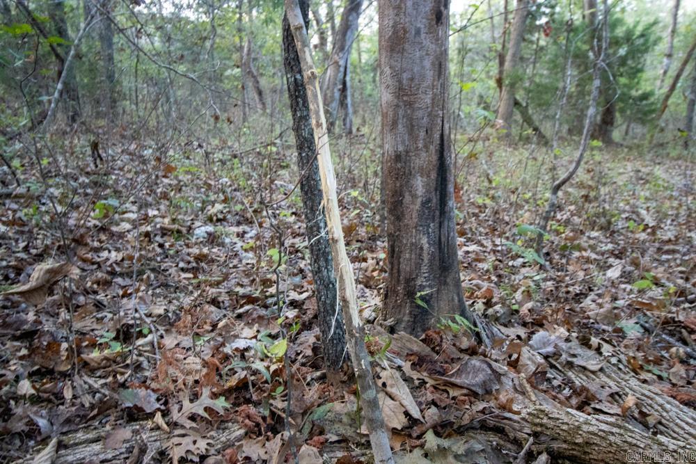 0000 McFarr Trail