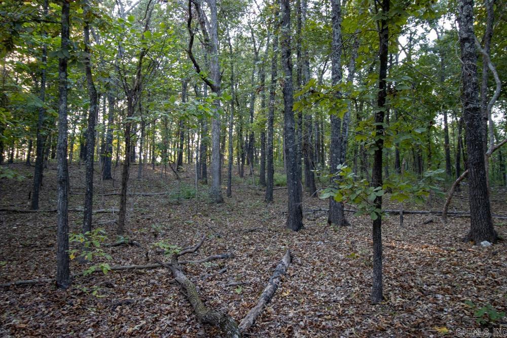 0000 McFarr Trail