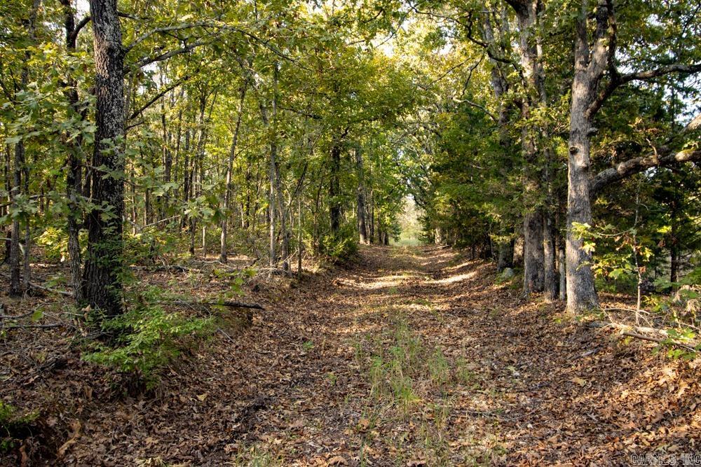 0000 McFarr Trail