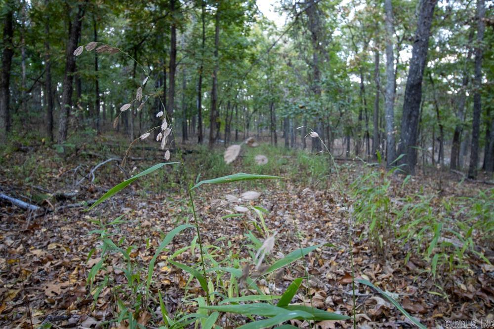 0000 McFarr Trail