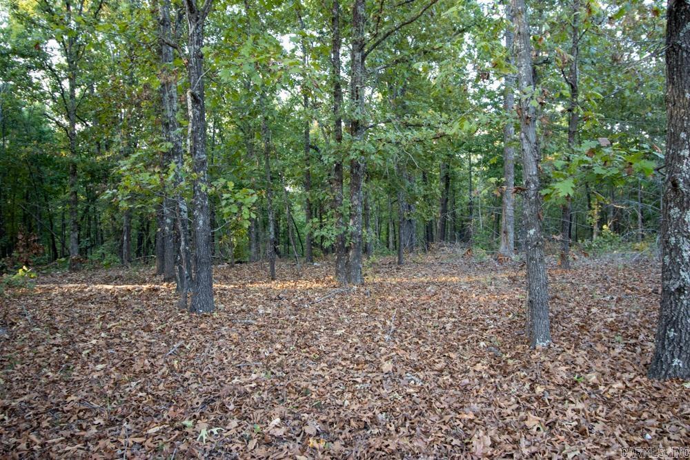 0000 McFarr Trail