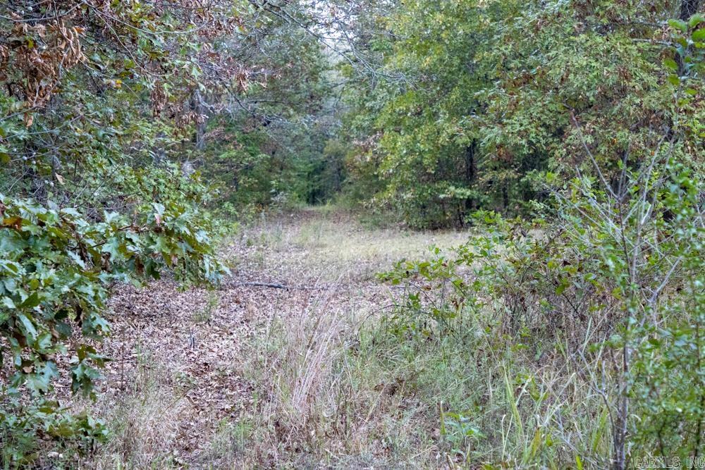 0000 McFarr Trail