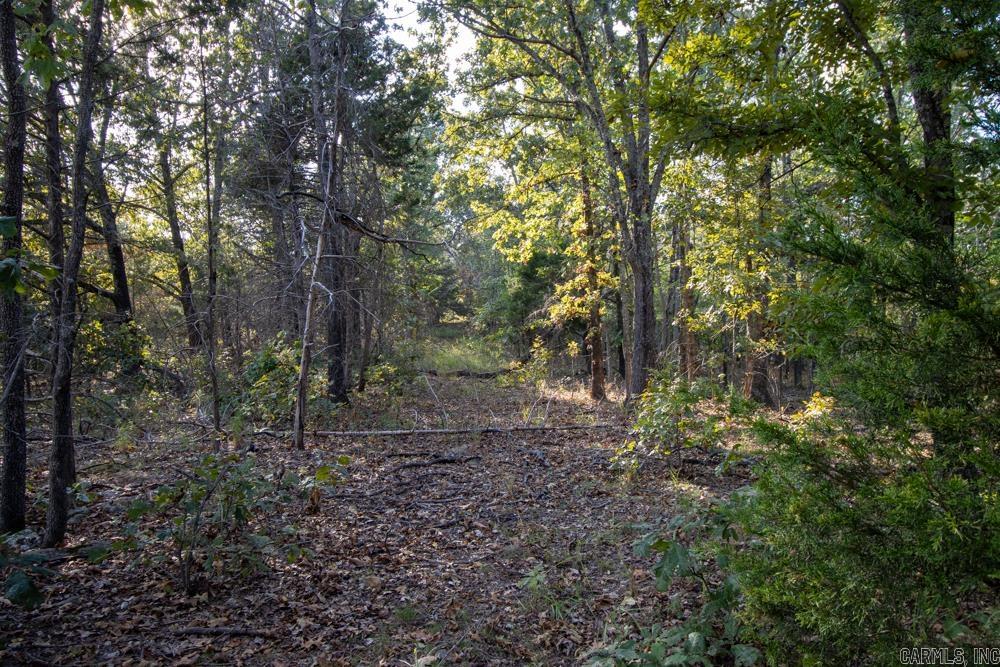 0000 McFarr Trail