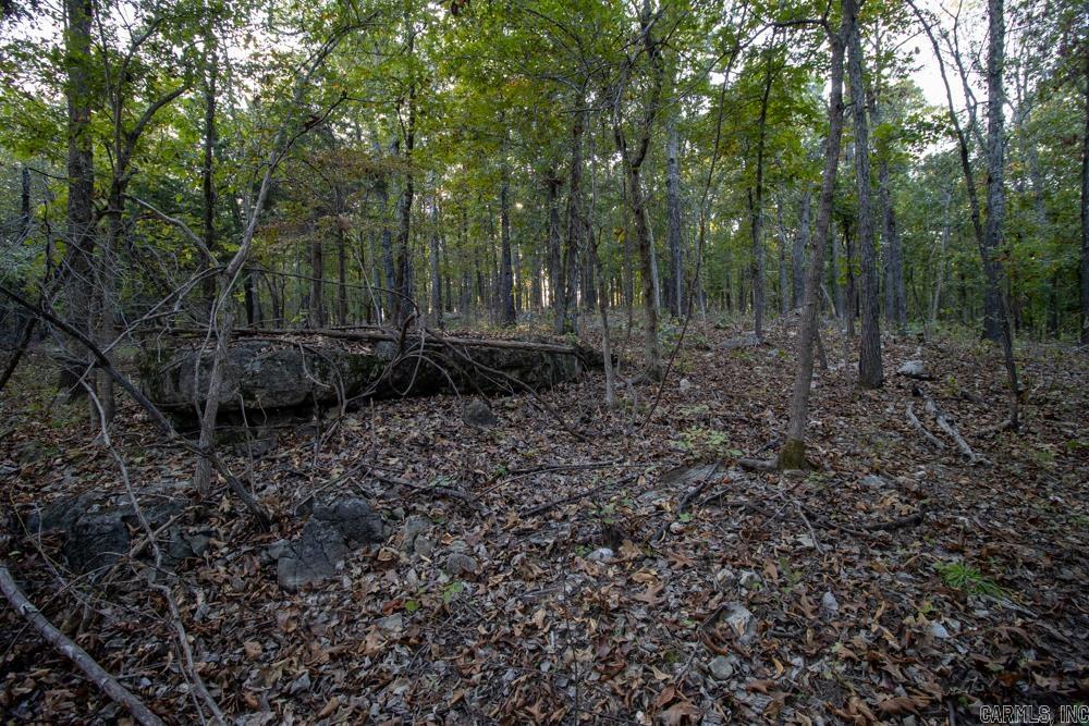 0000 McFarr Trail