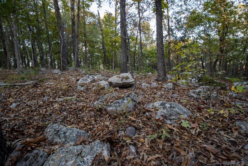 0000 McFarr Trail