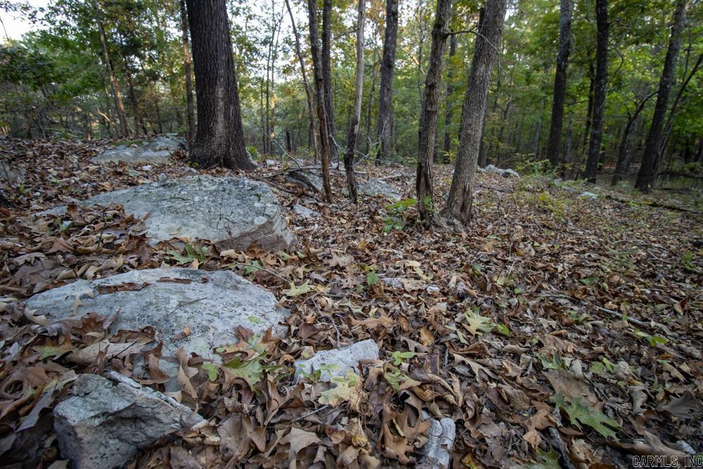 0000 McFarr Trail