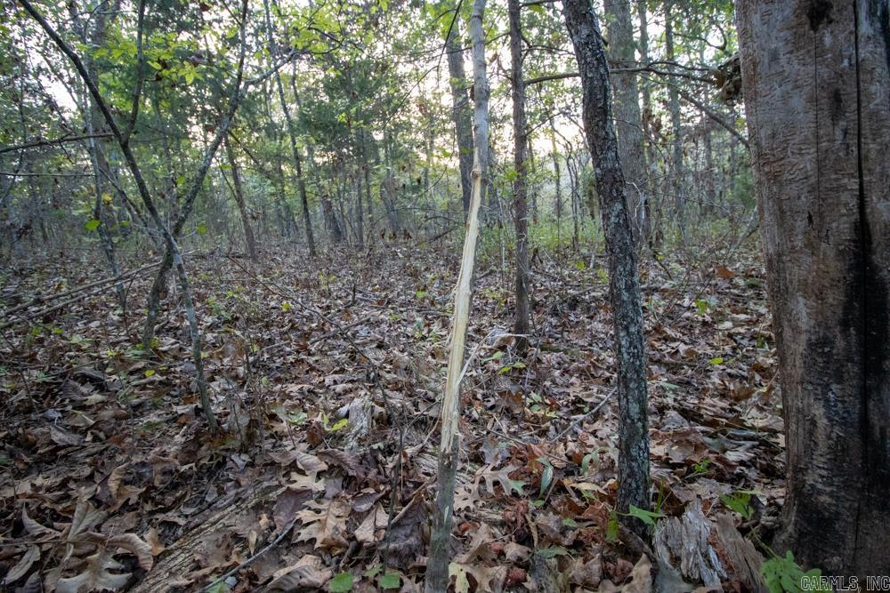 0000 McFarr Trail