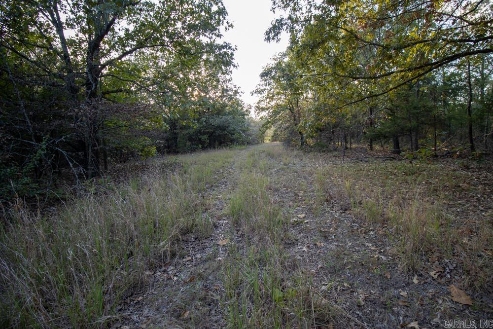 0000 McFarr Trail
