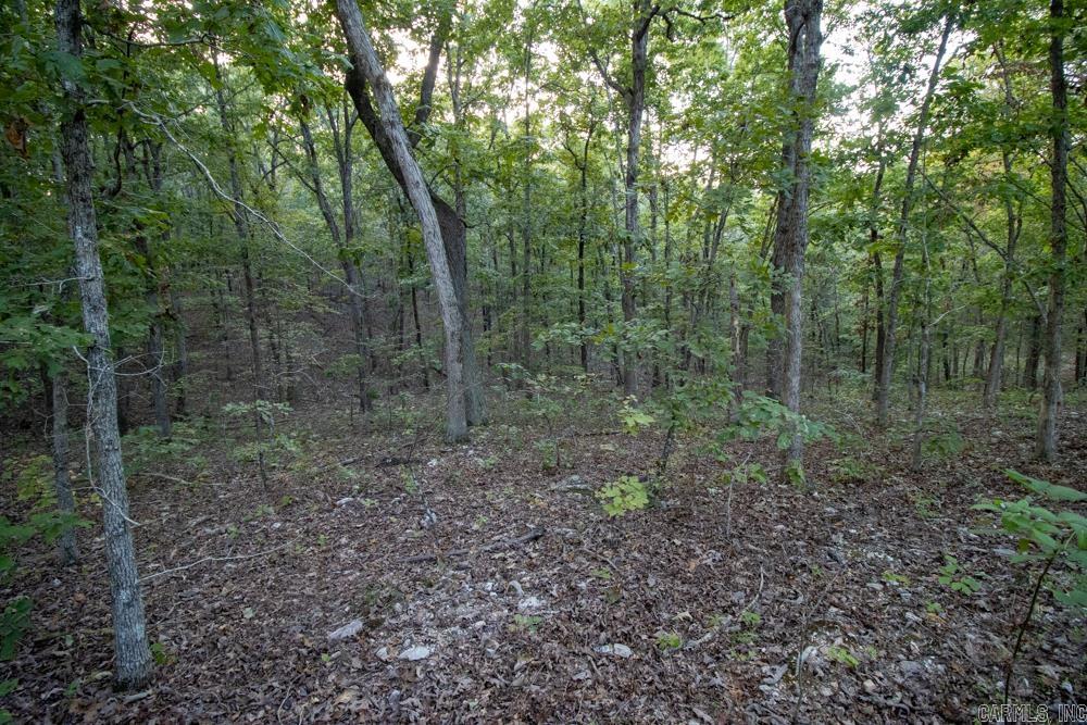 0000 McFarr Trail