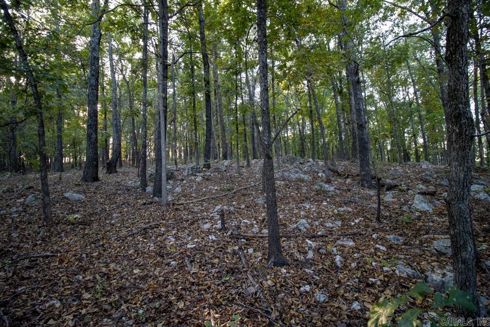 0000 McFarr Trail