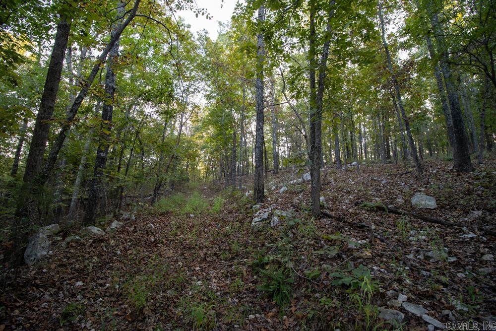 0000 McFarr Trail