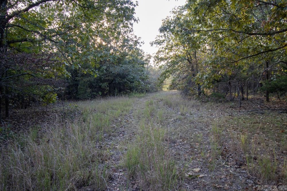 0000 McFarr Trail