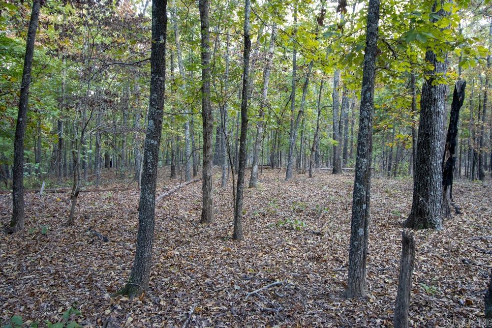 0000 McFarr Trail