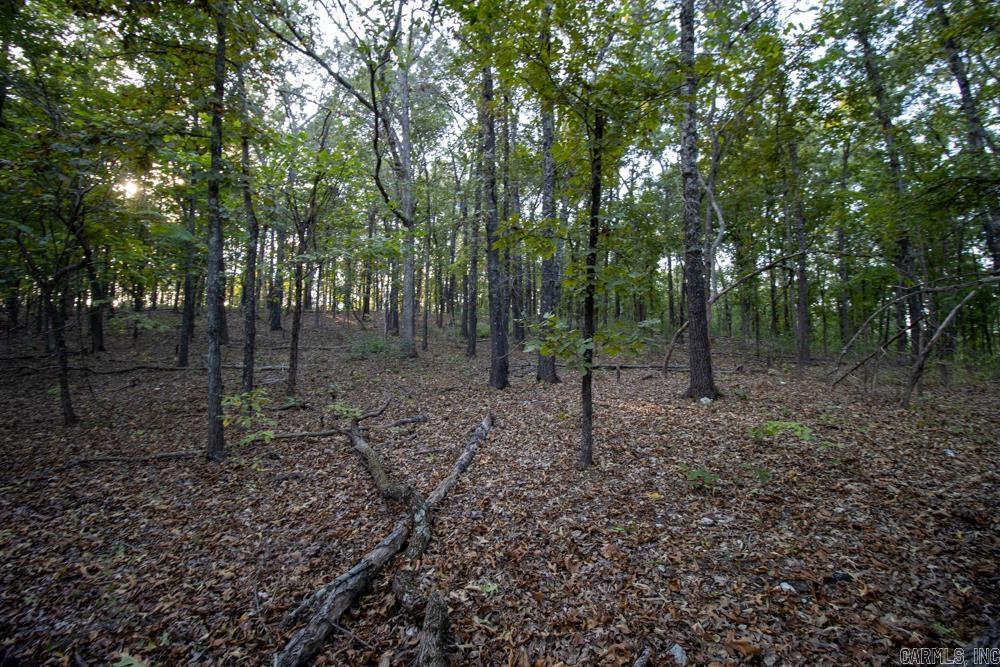 0000 McFarr Trail