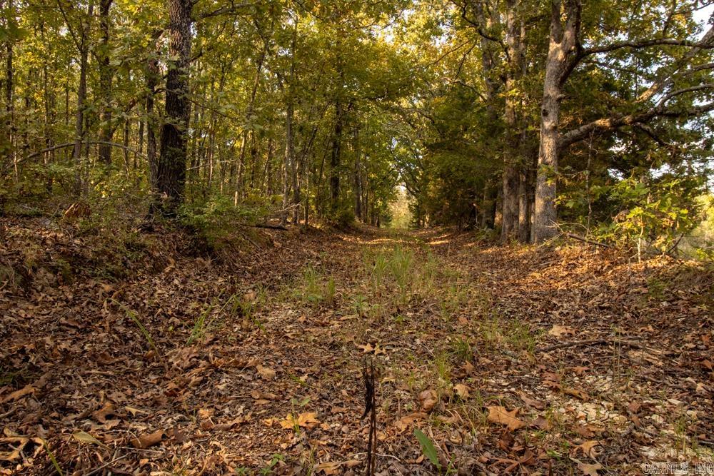 0000 McFarr Trail