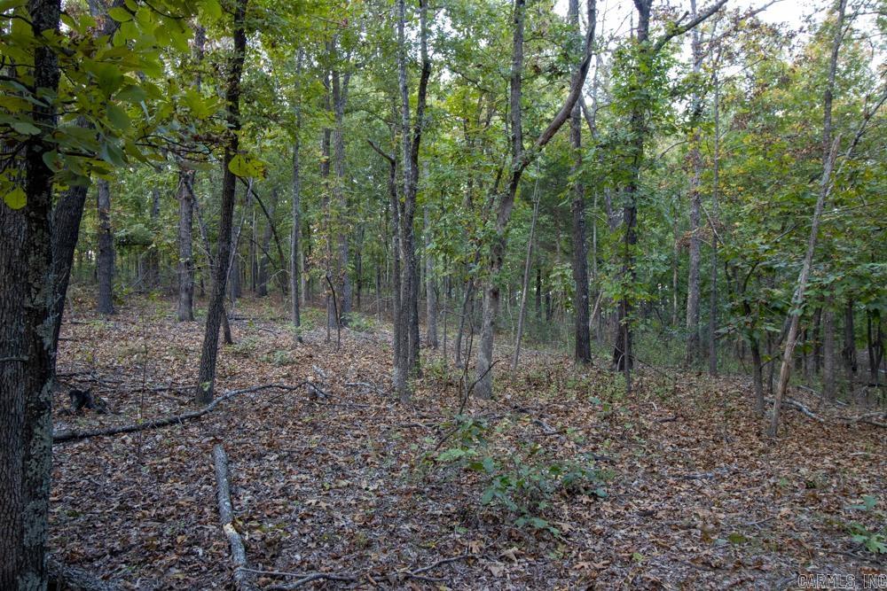 0000 McFarr Trail