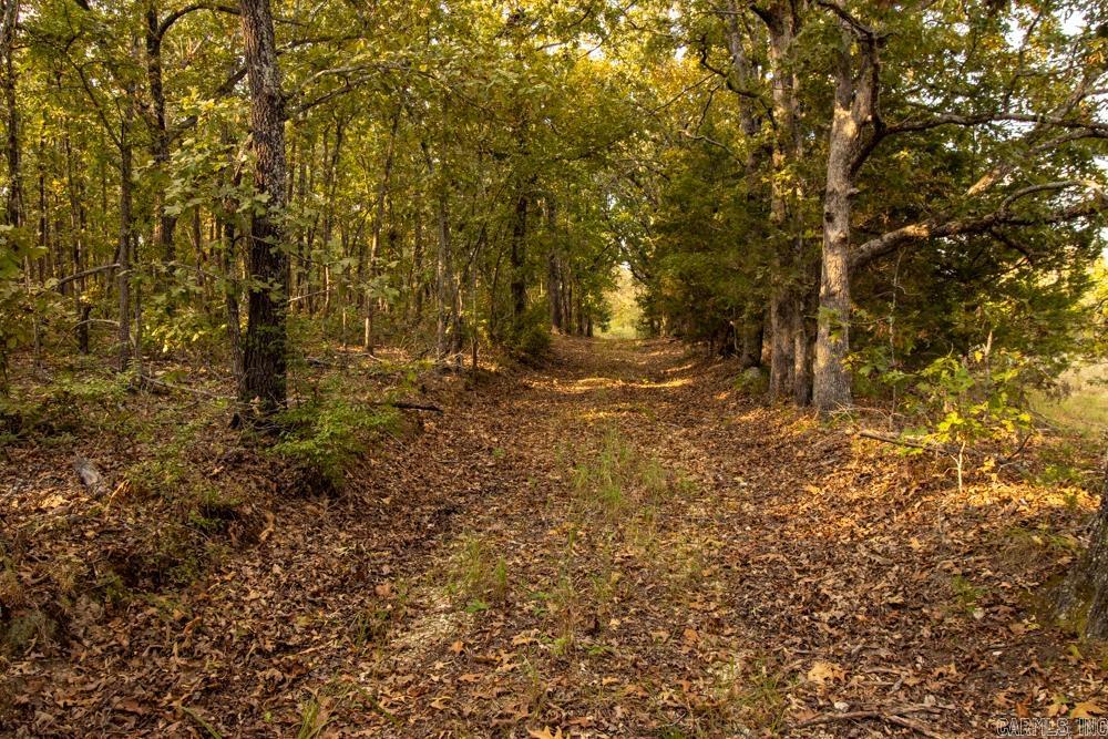 0000 McFarr Trail