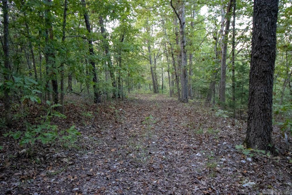 0000 McFarr Trail