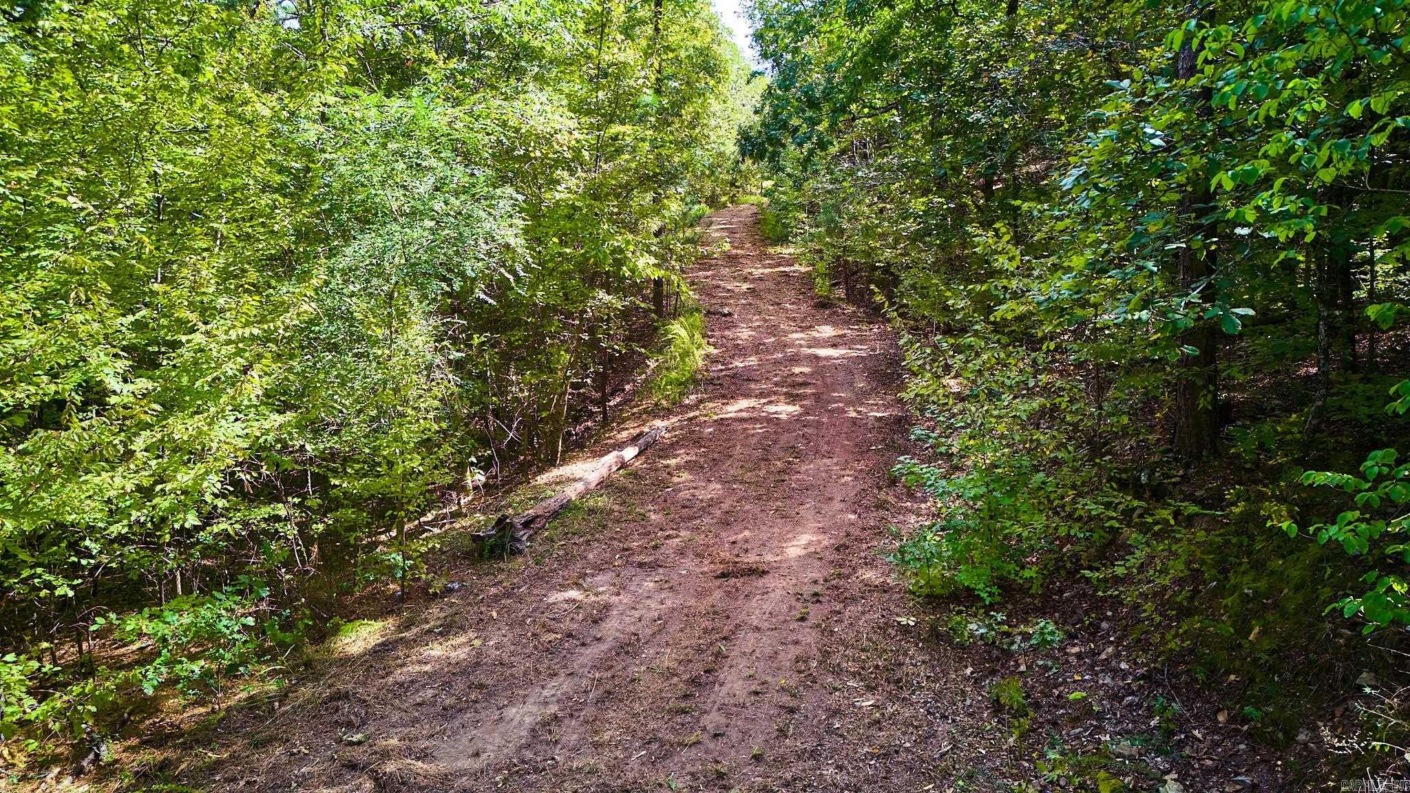 Lot 16 Tall Hickory Road