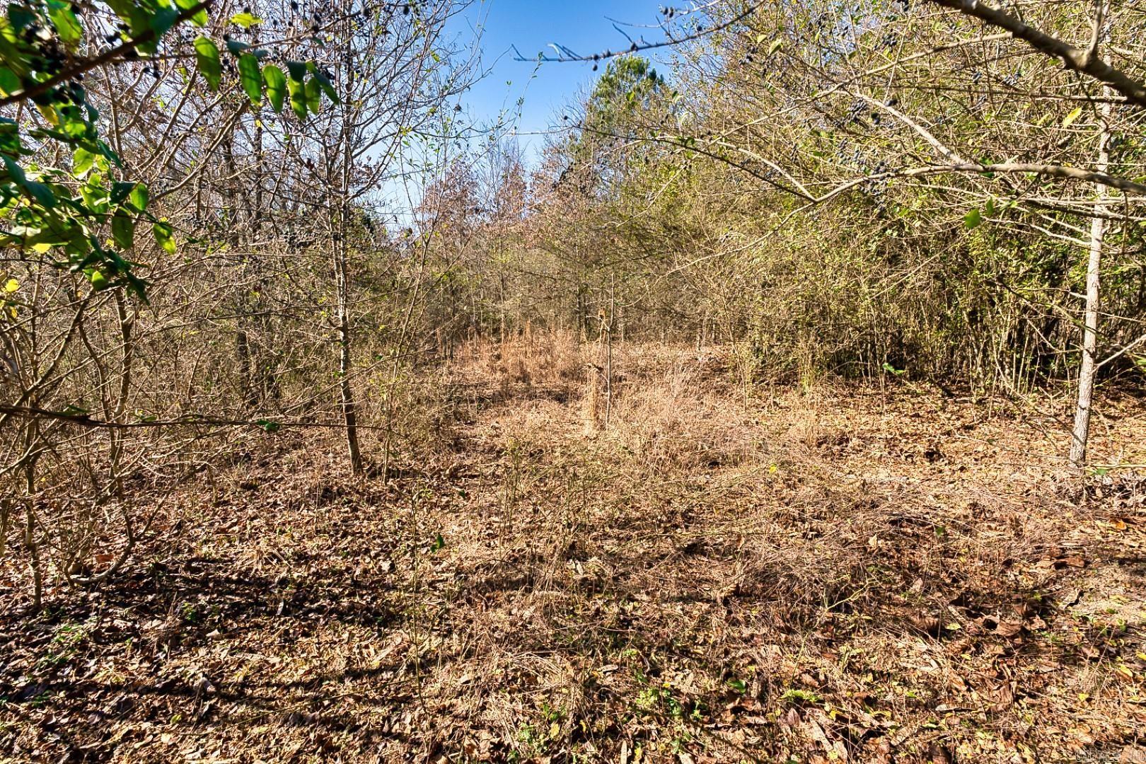 2600 Block Park Avenue, Lot 2L
