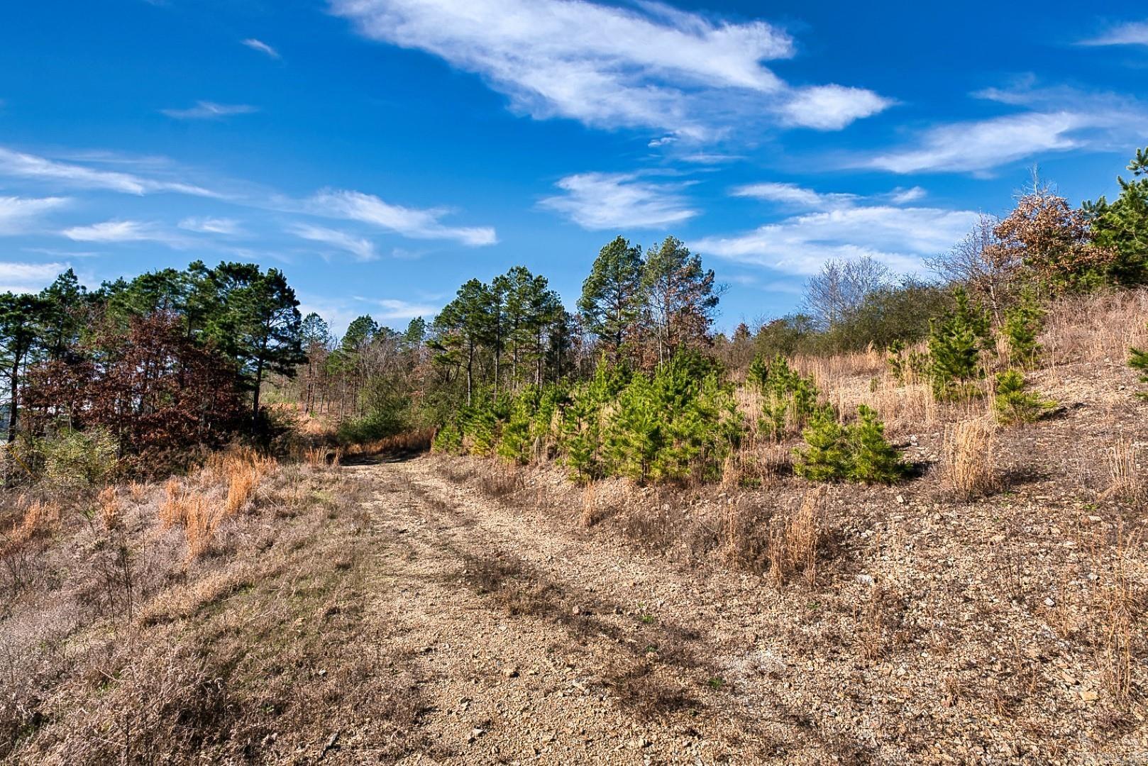 2600 Block Park Avenue, Lot 2L