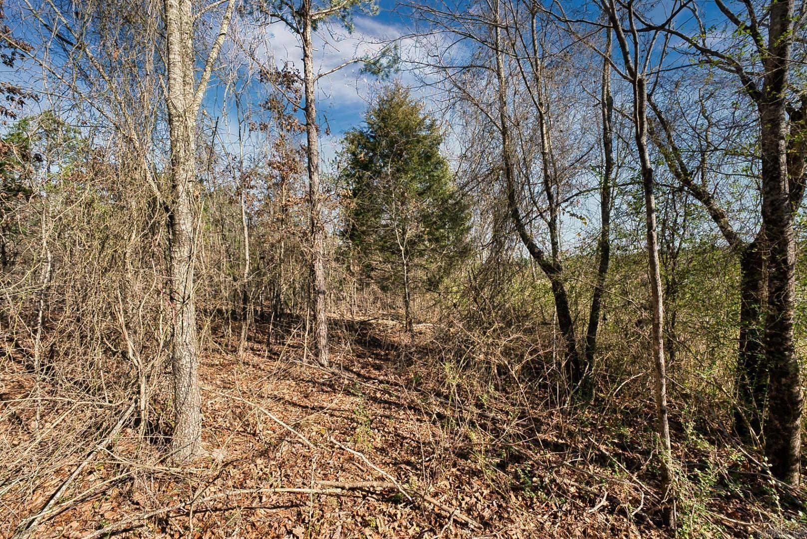 2600 Block Park Avenue, Lot 2L