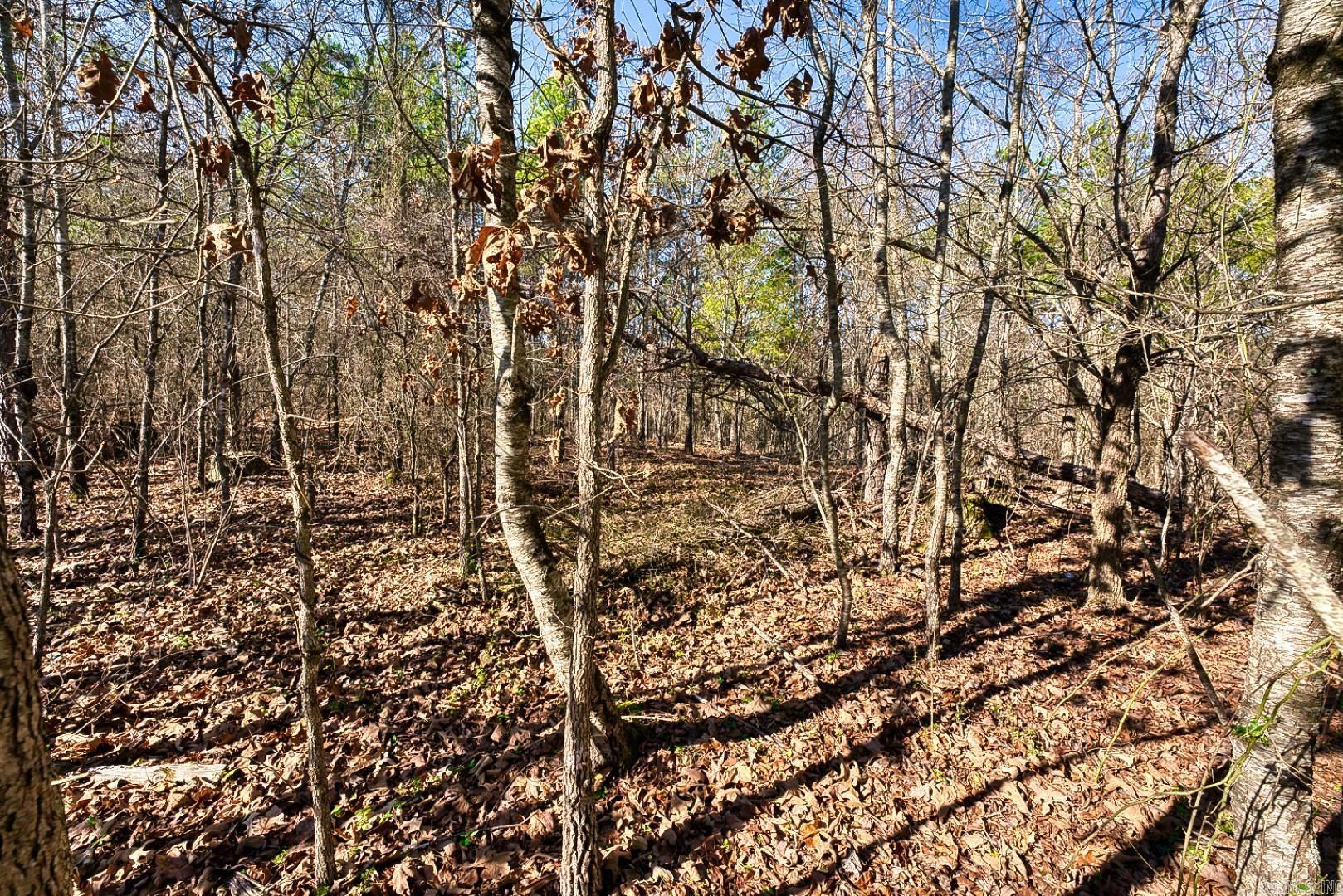 2600 Block Park Avenue, Lot 2L