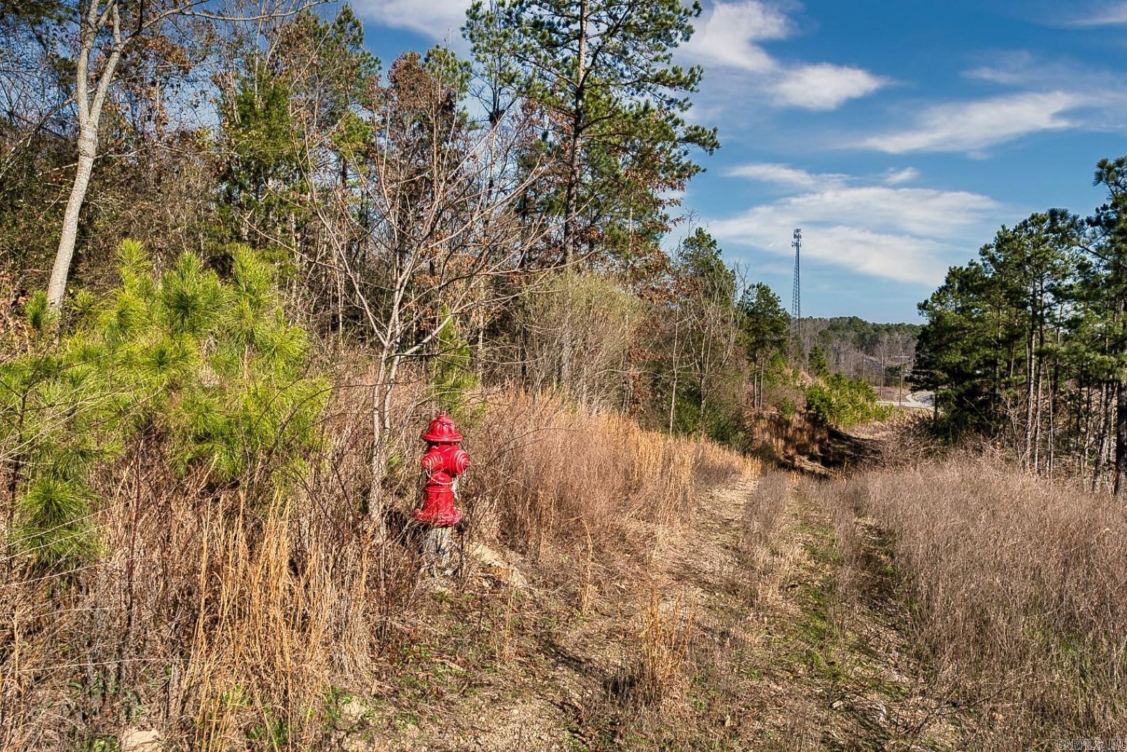 2600 Block Park Avenue, Lot 2L