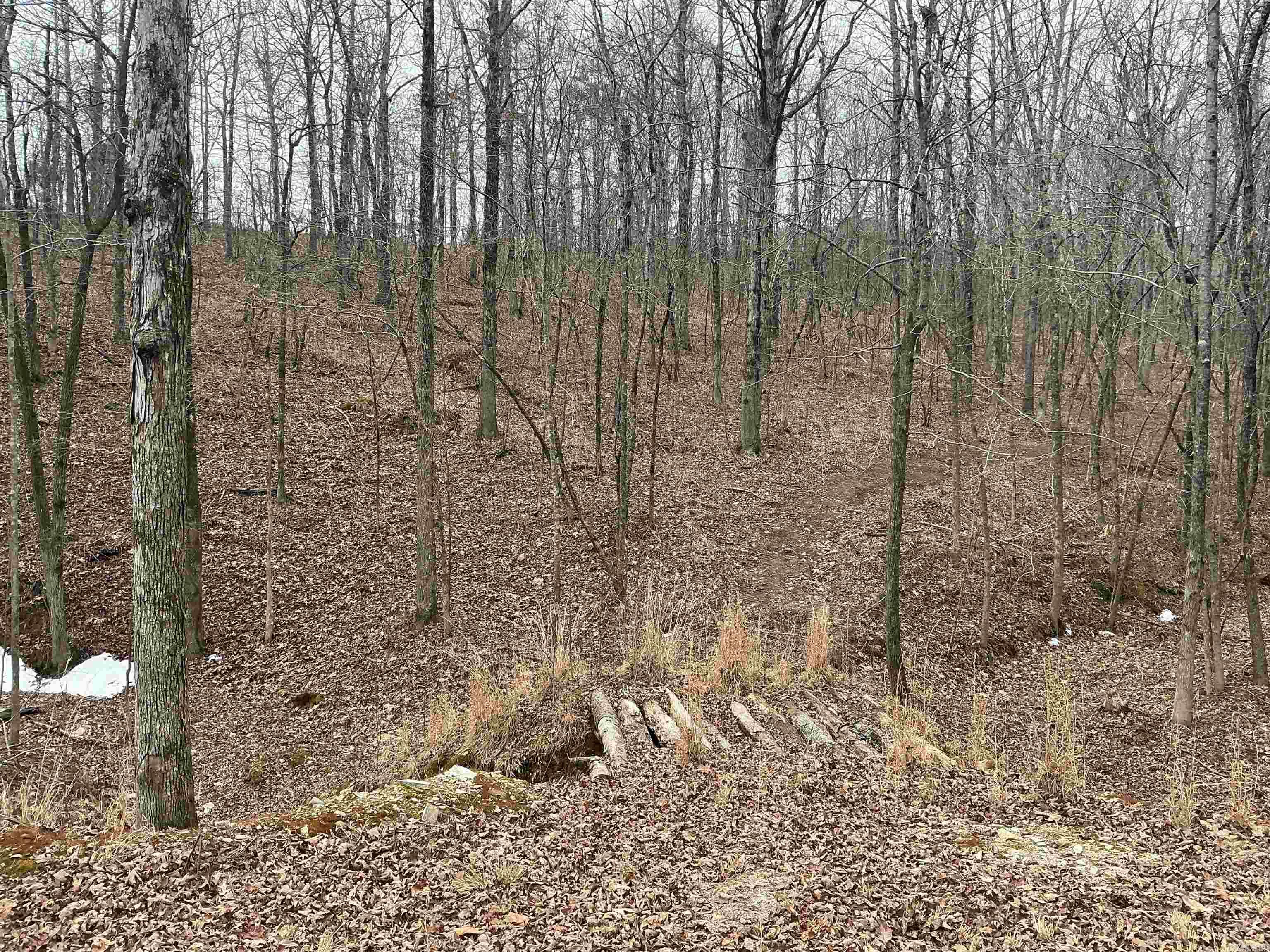 Lot 7 Oversprings Drive