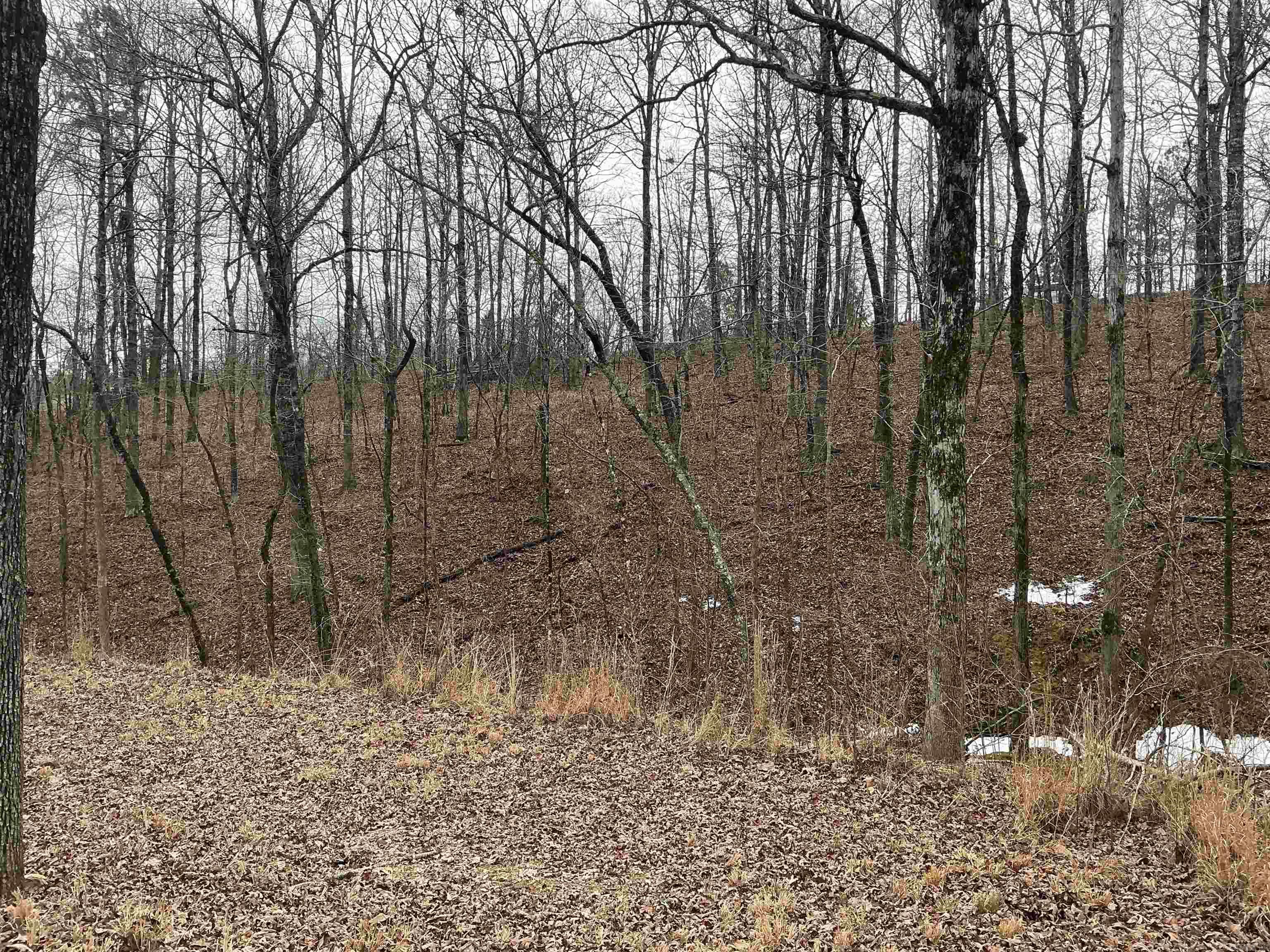 Lot 7 Oversprings Drive