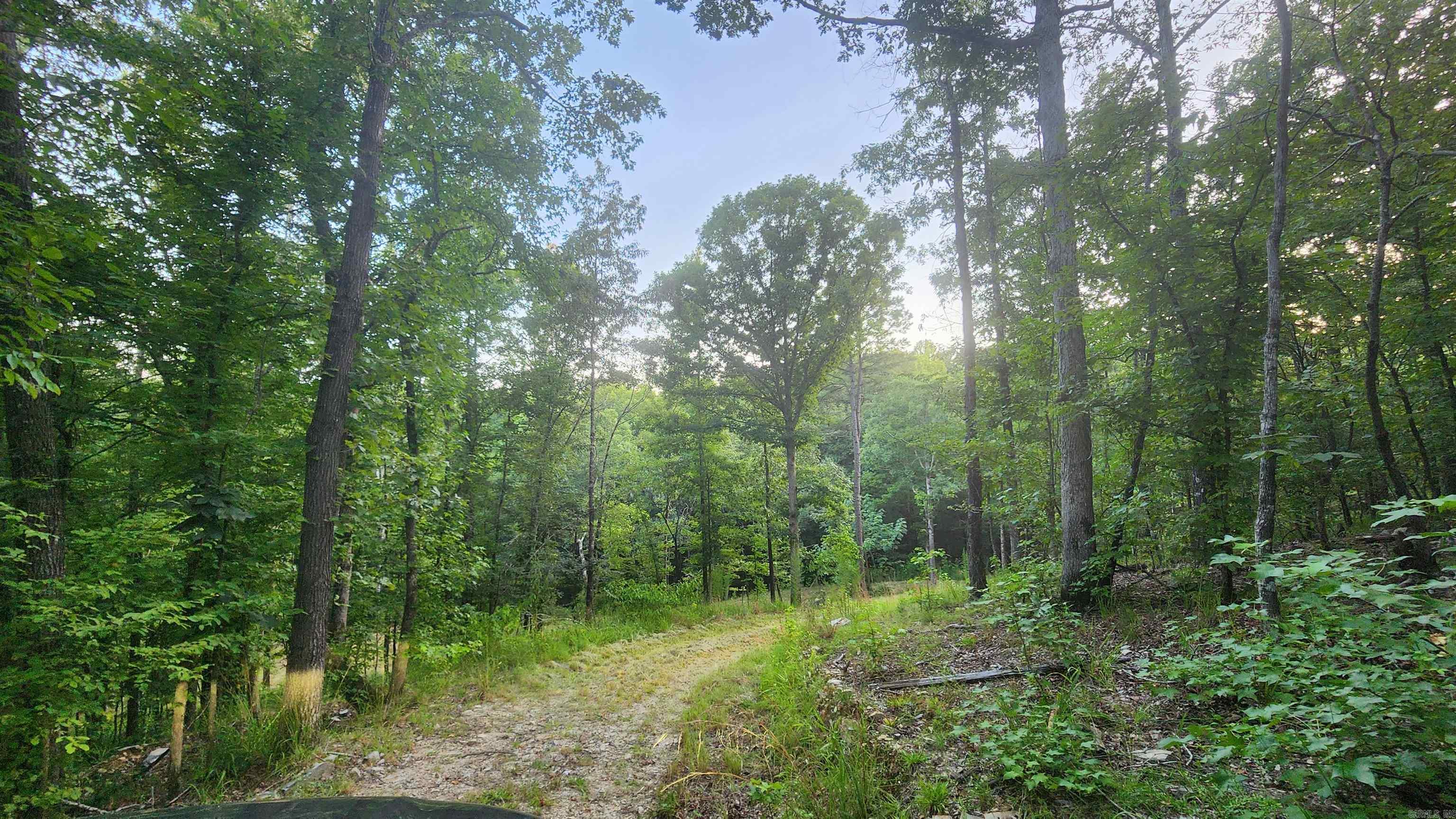 Lot 7 Oversprings Drive