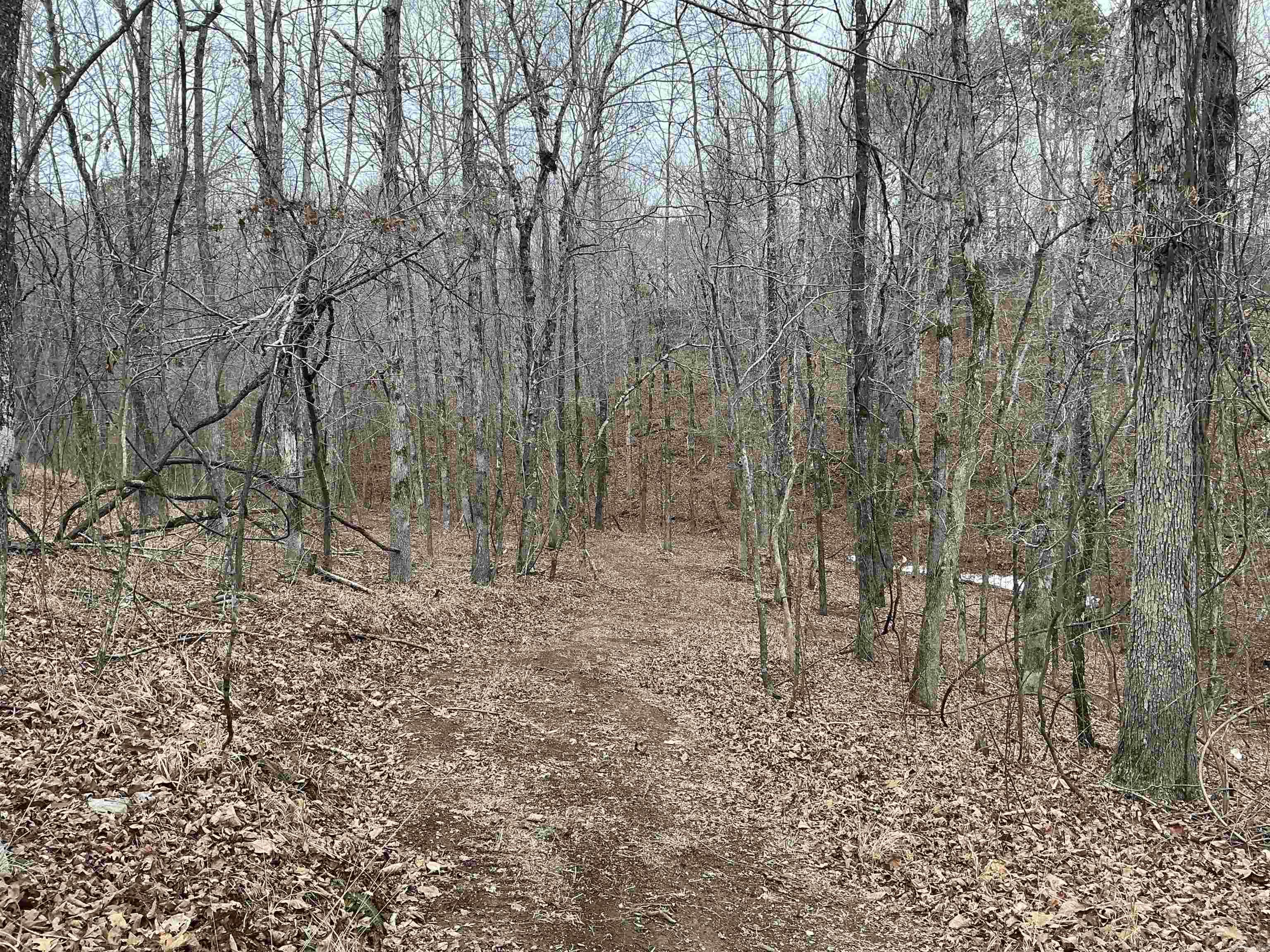 Lot 7 Oversprings Drive
