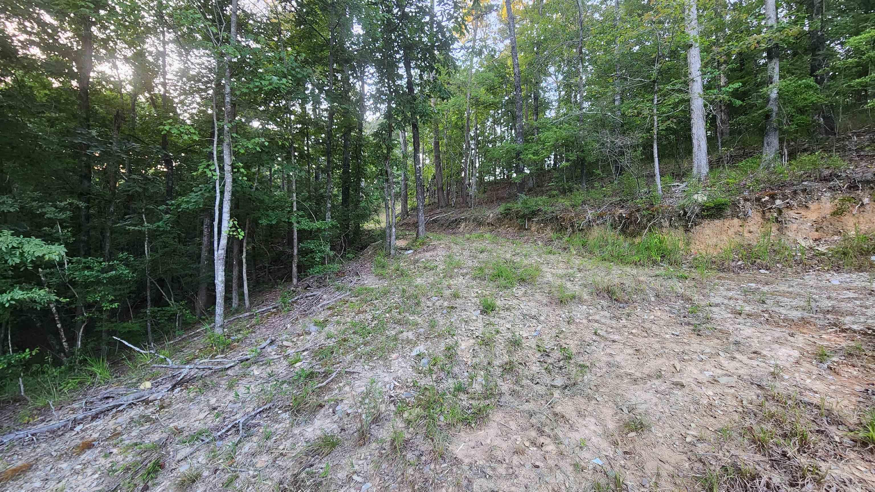 Lot 7 Oversprings Drive