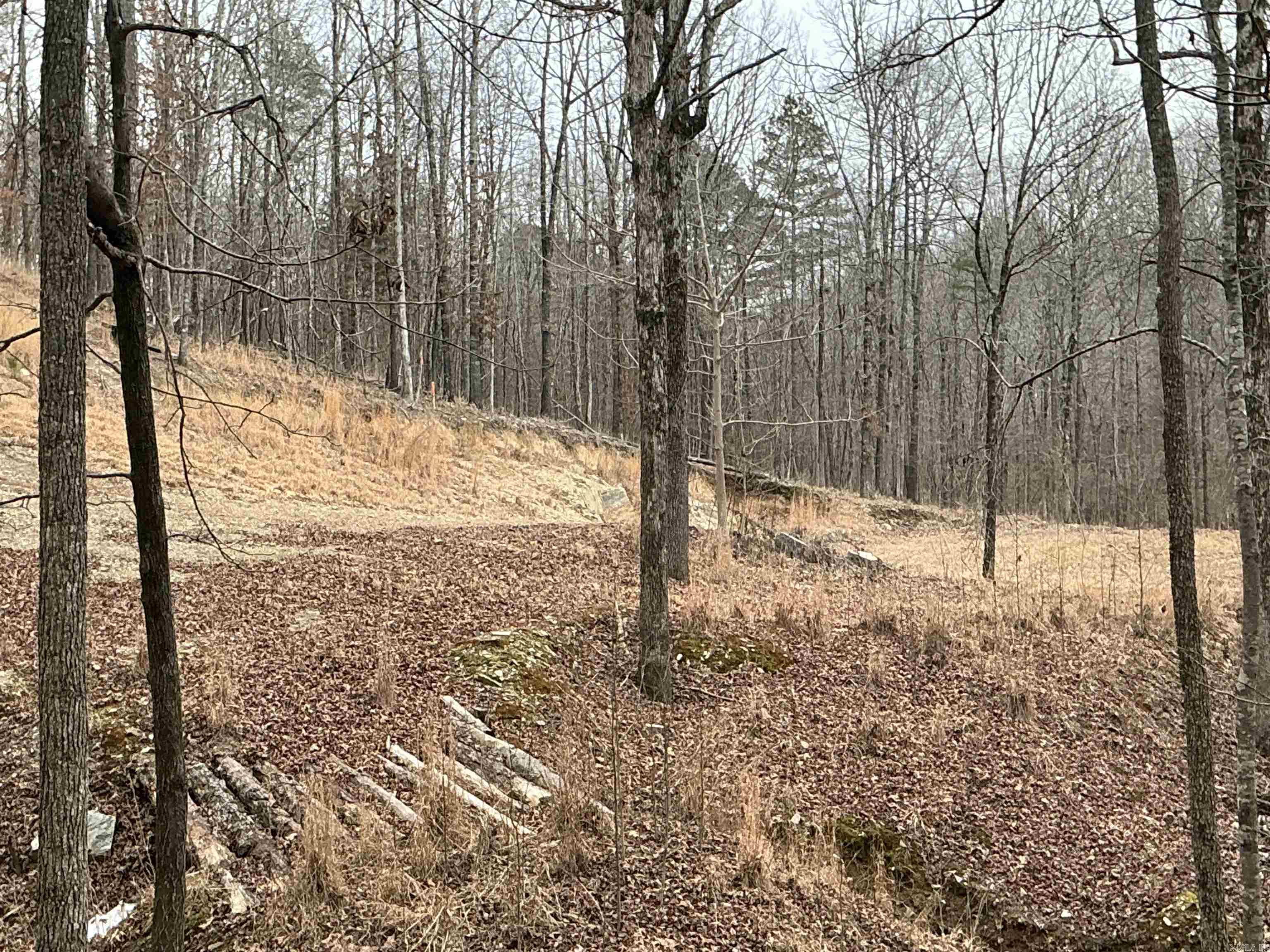 Lot 7 Oversprings Drive