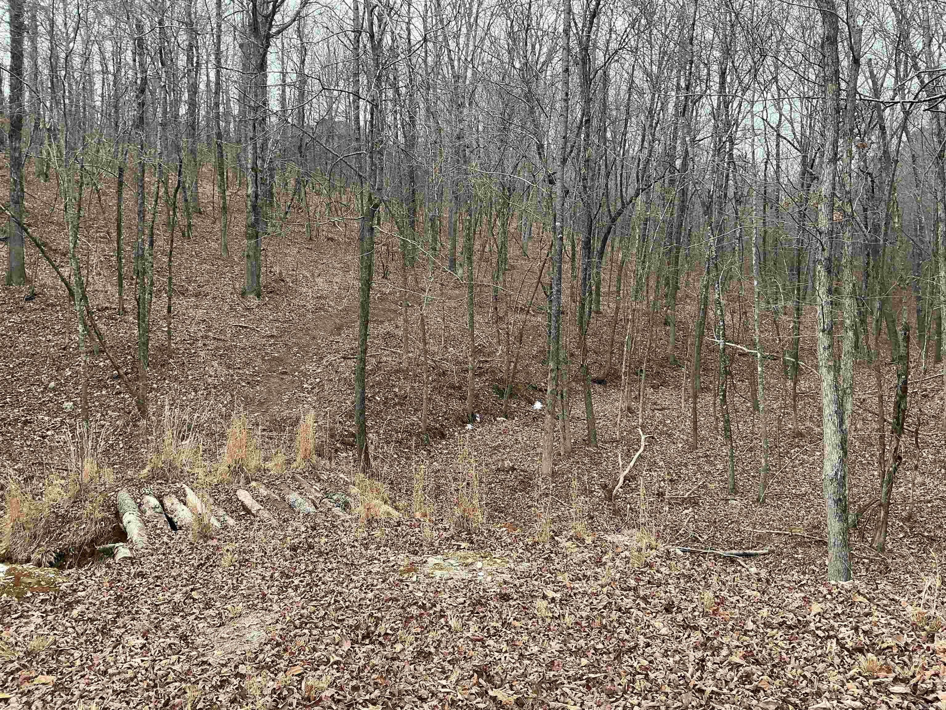 Lot 7 Oversprings Drive