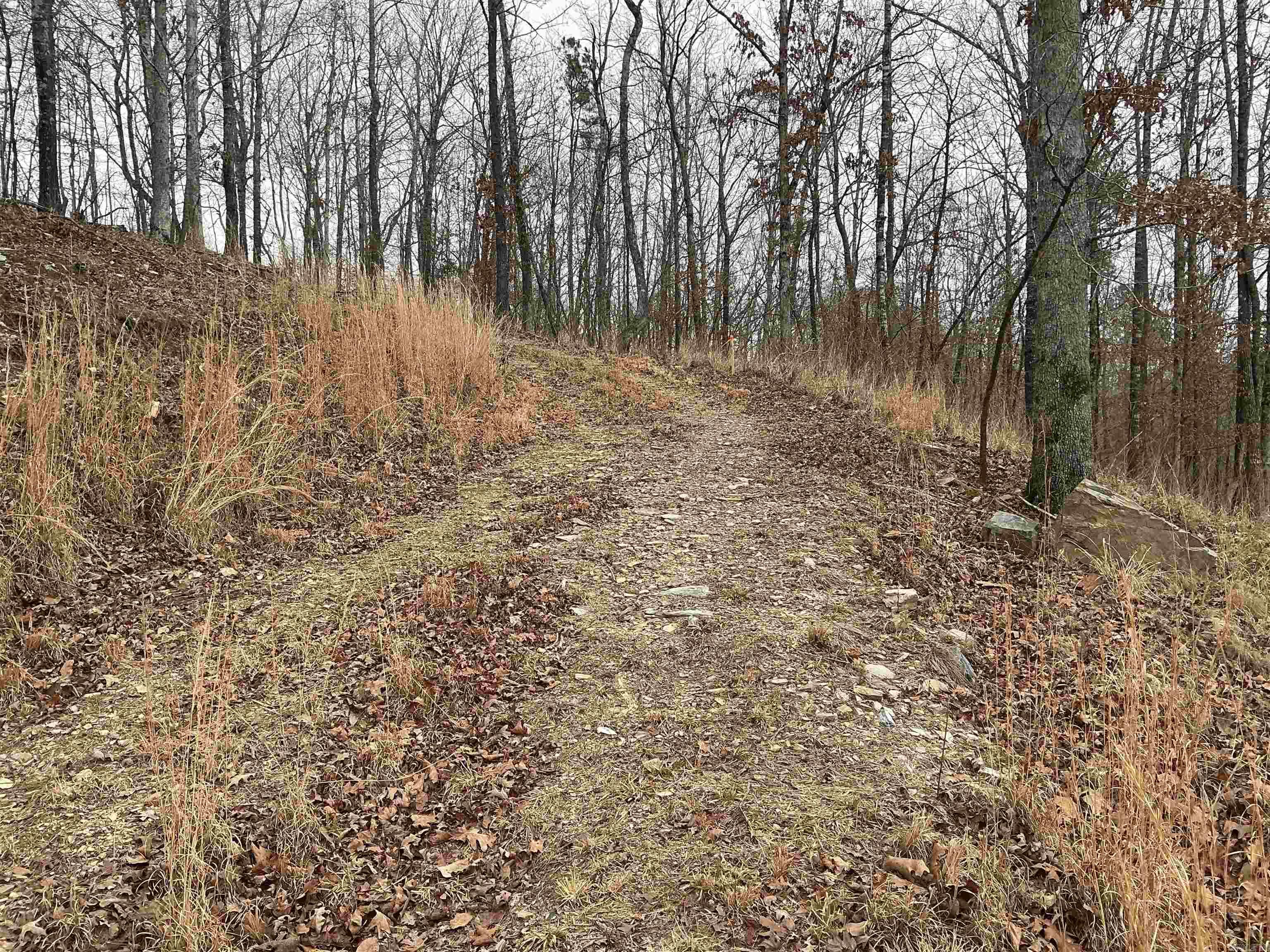 Lot 7 Oversprings Drive