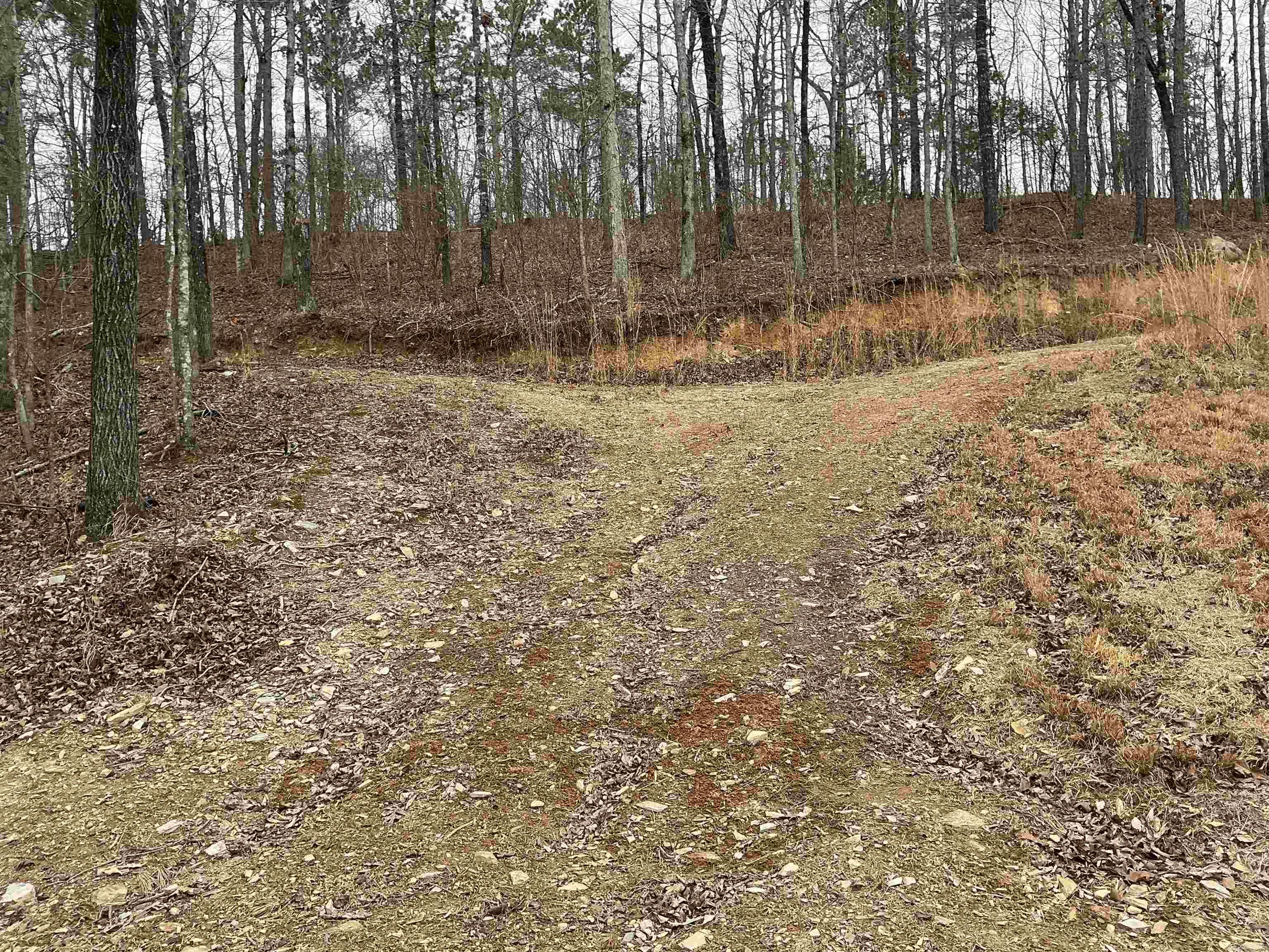 Lot 7 Oversprings Drive