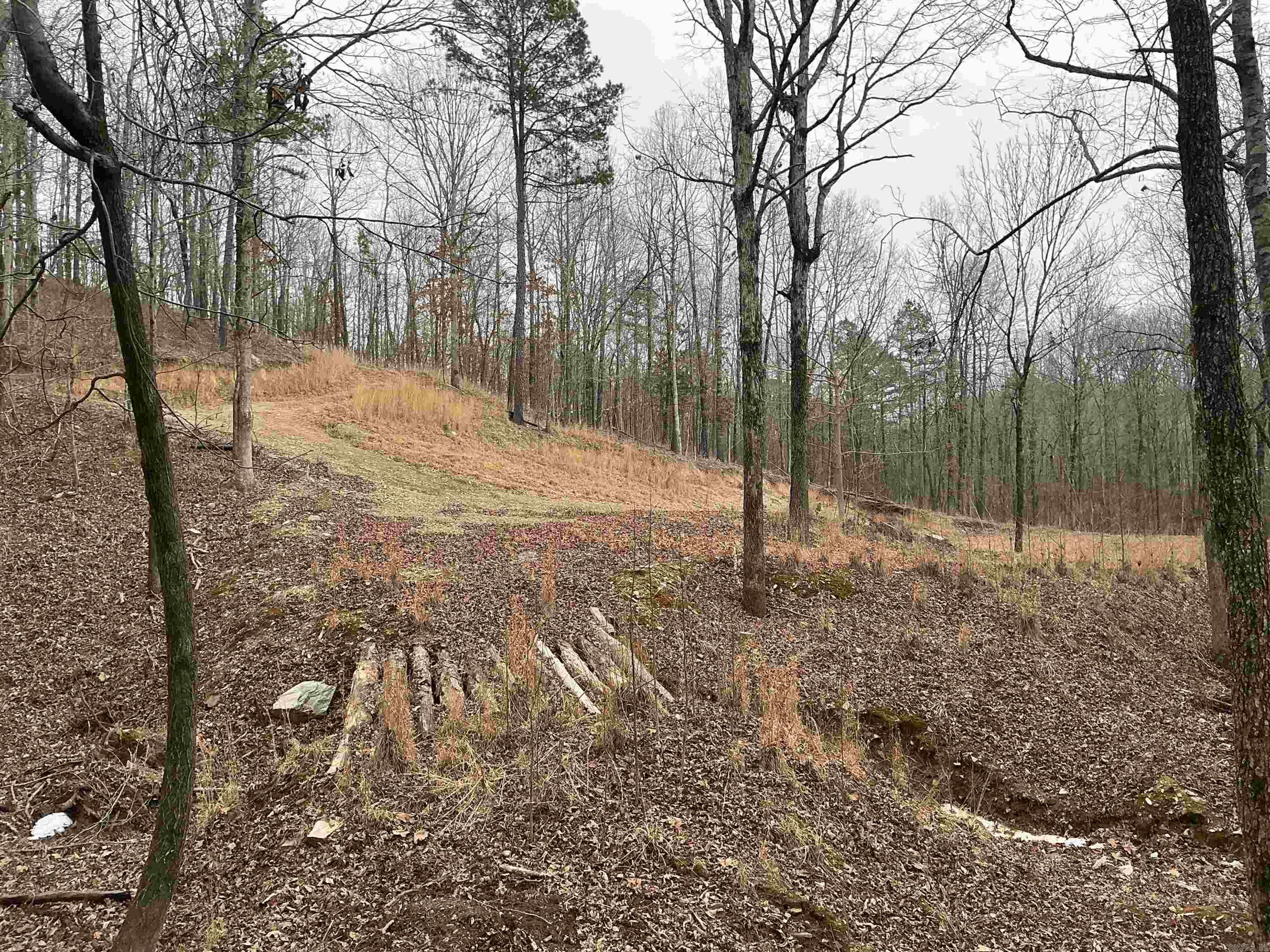 Lot 7 Oversprings Drive