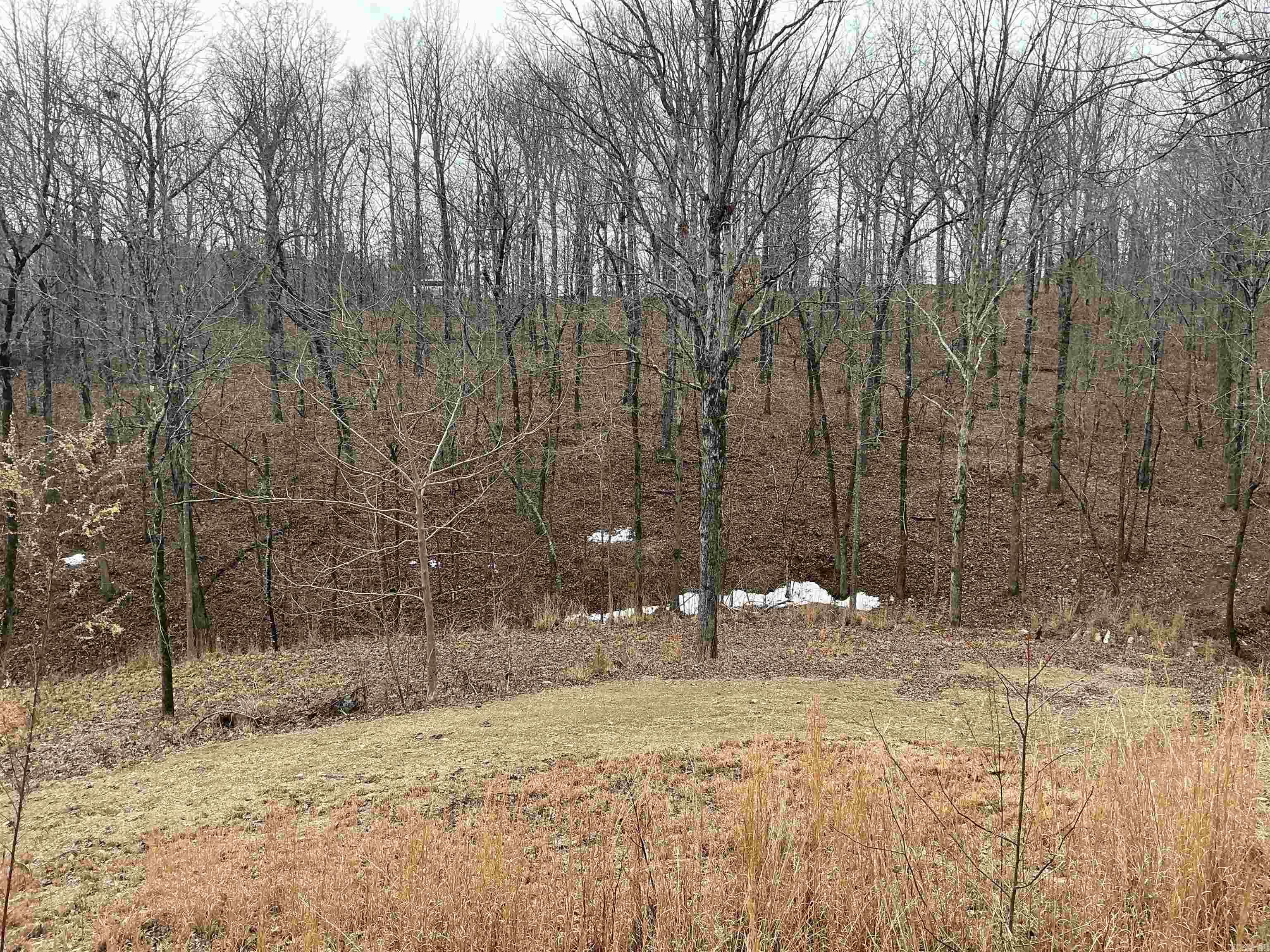 Lot 7 Oversprings Drive