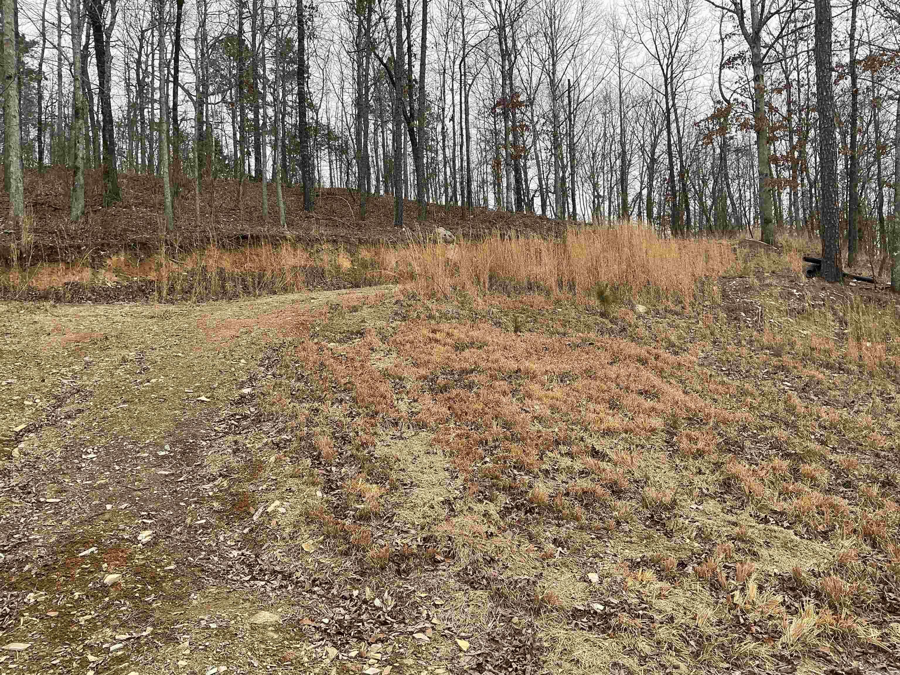Lot 7 Oversprings Drive