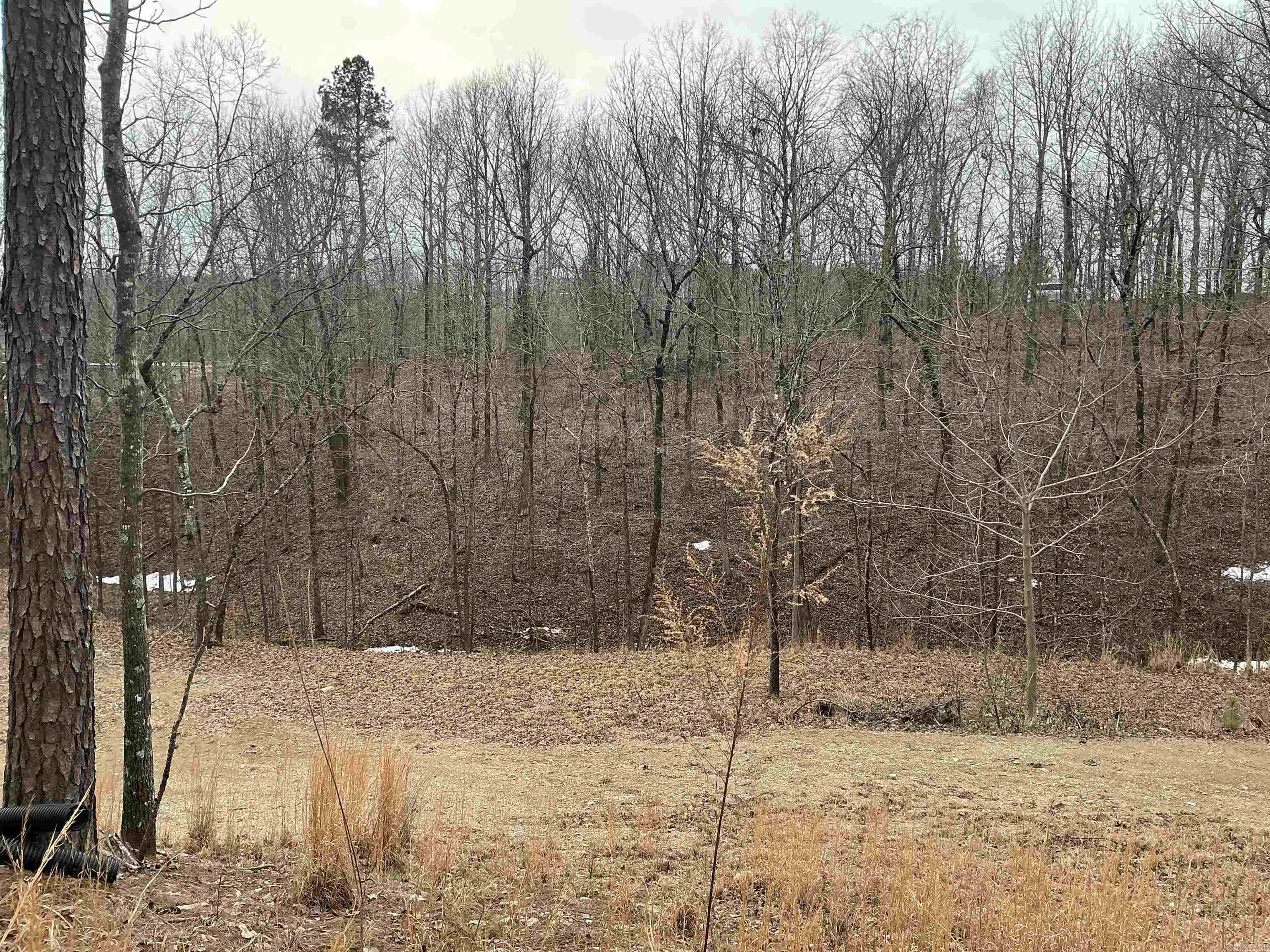 Lot 7 Oversprings Drive