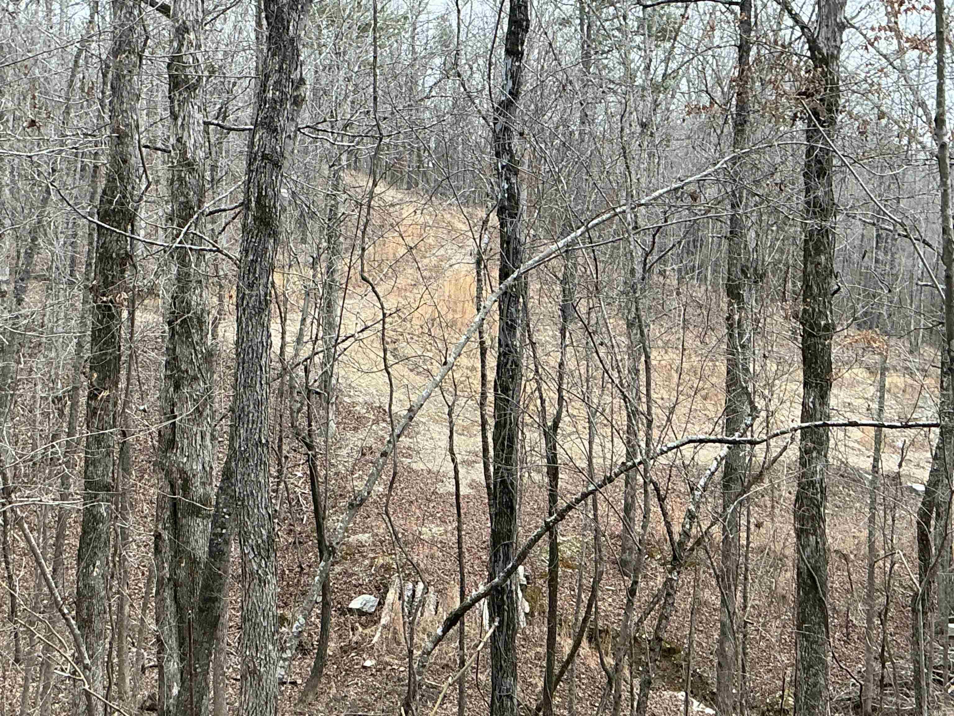 Lot 7 Oversprings Drive