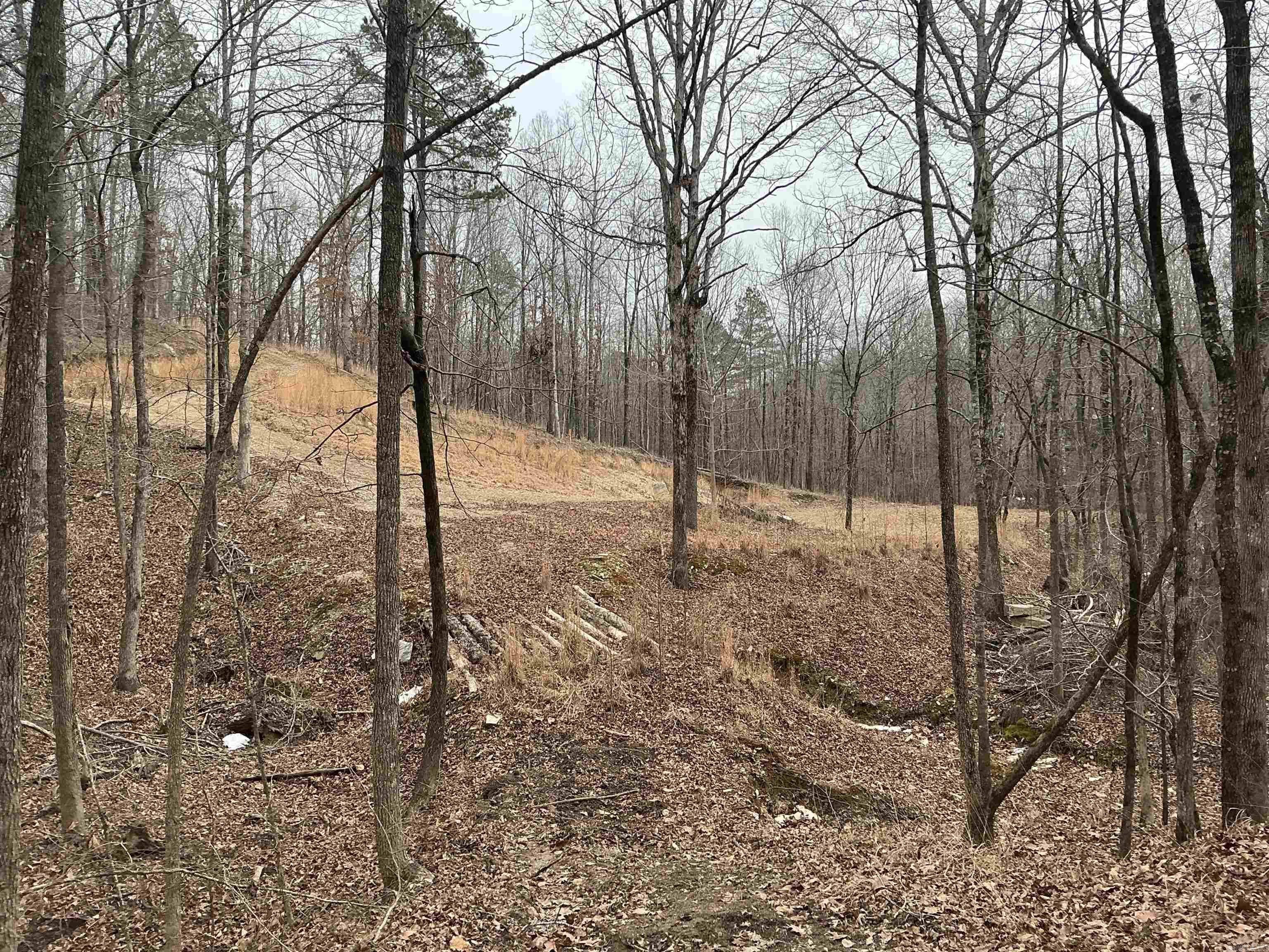 Lot 7 Oversprings Drive