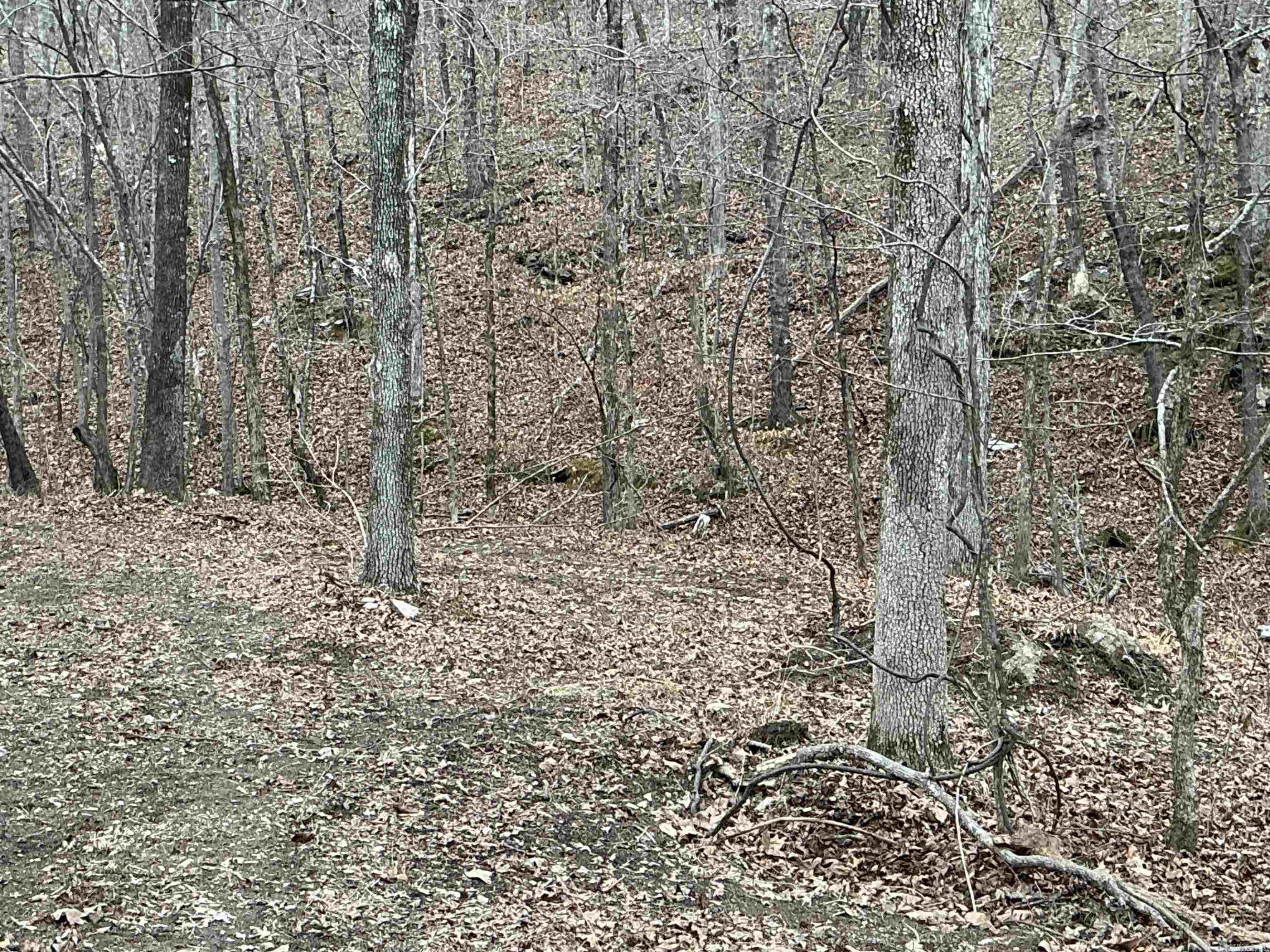 Lot 7 Oversprings Drive