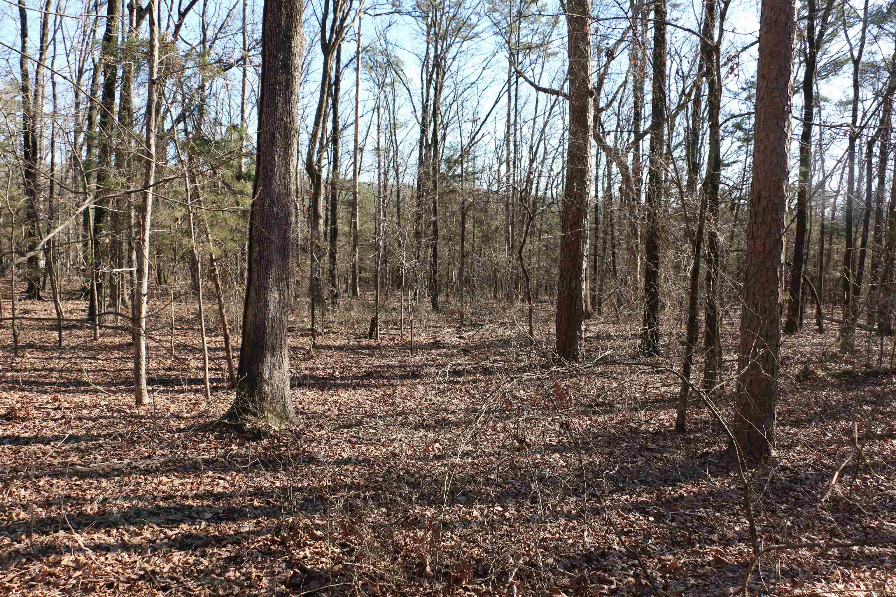 Lot 152 Woodlawn Drive