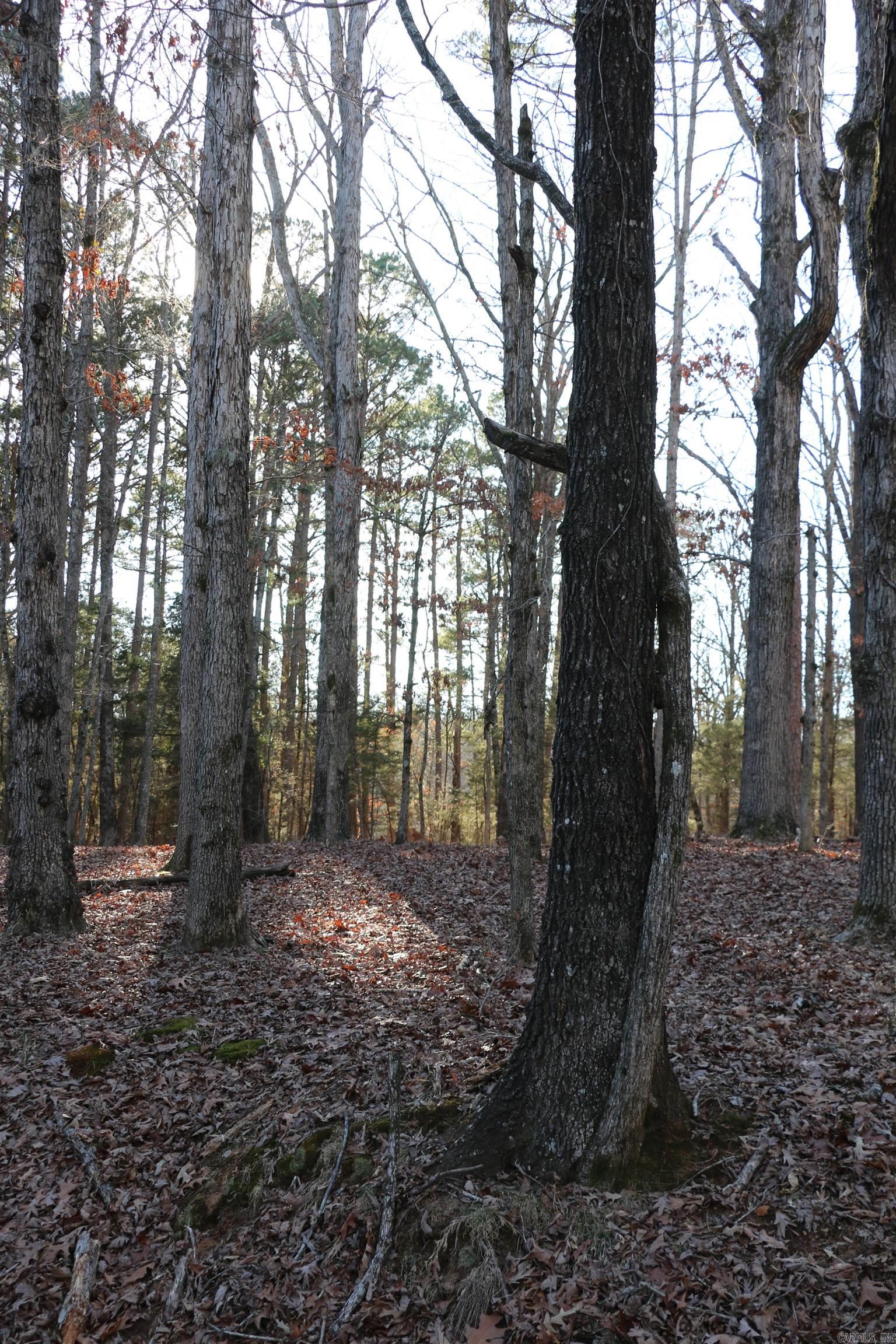 Lot 92 Dave Creek Parkway