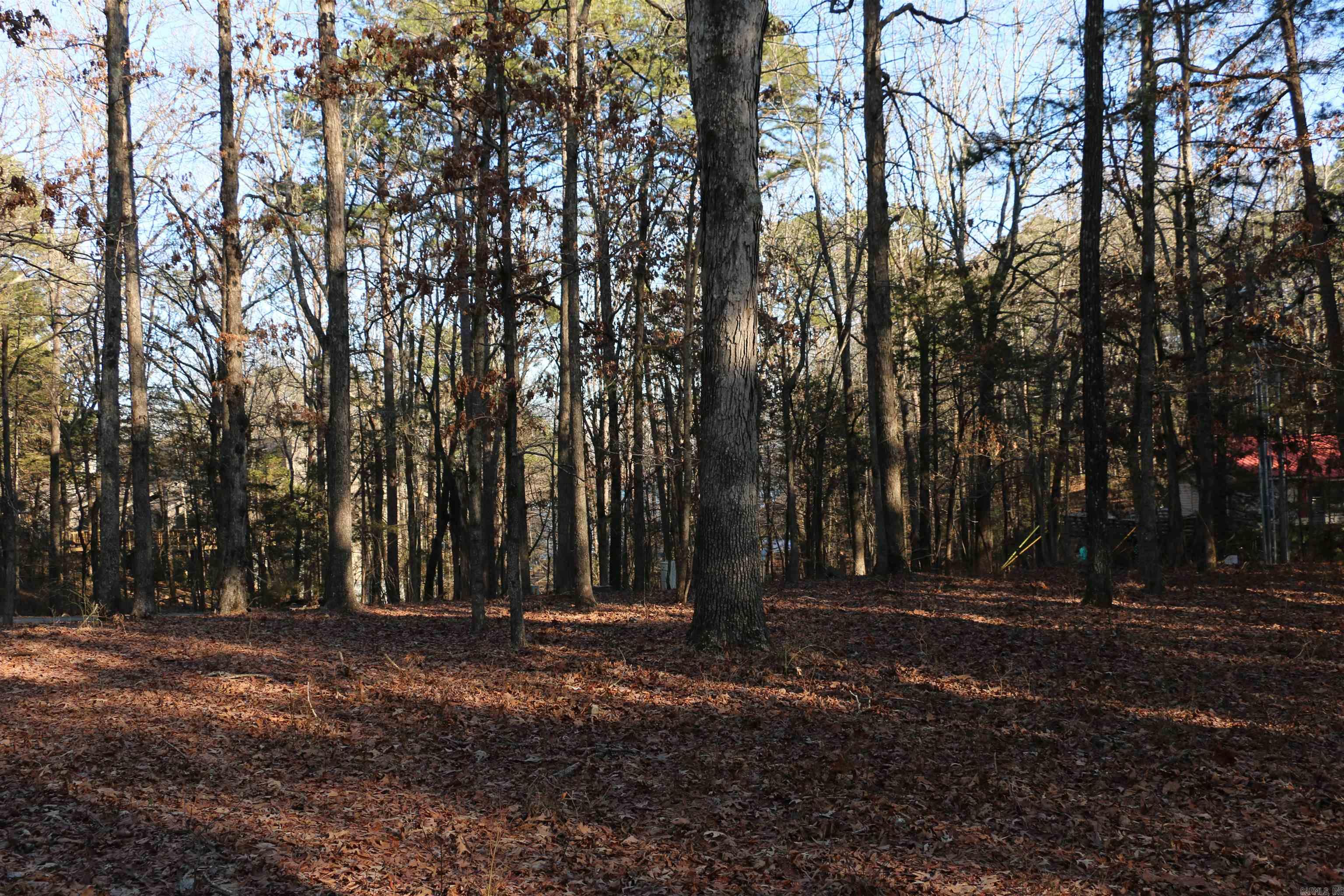 Lot 92 Dave Creek Parkway