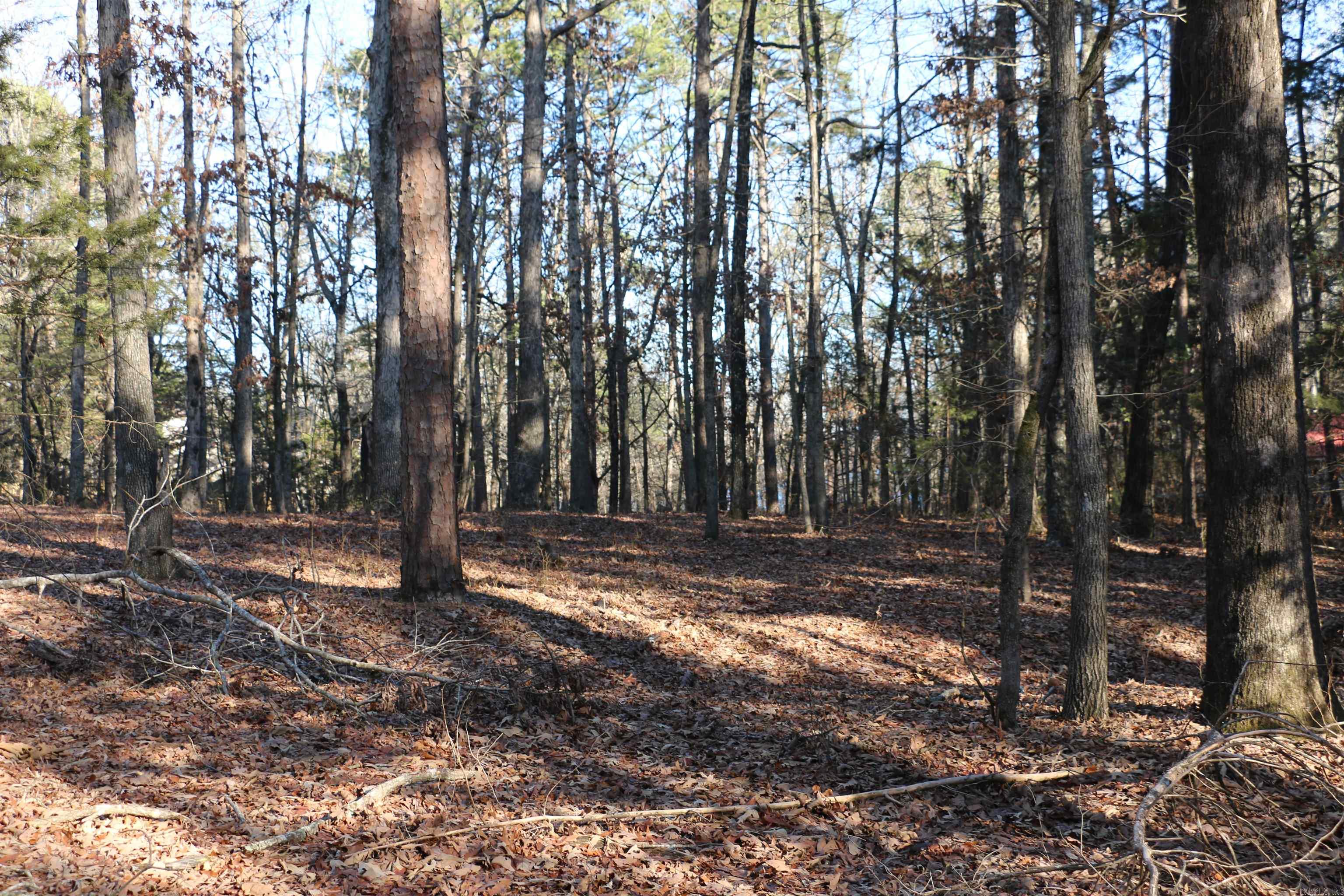Lot 92 Dave Creek Parkway