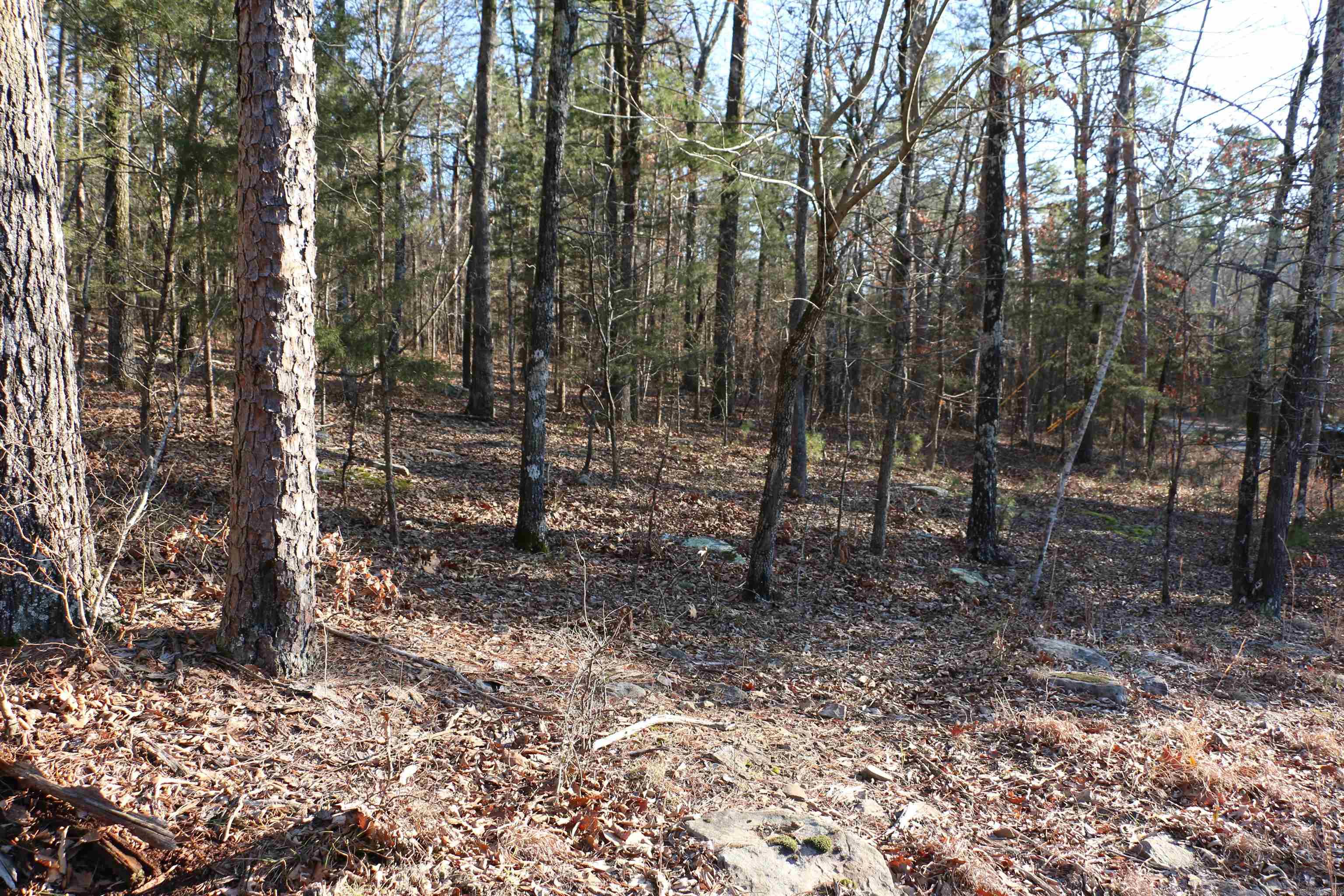 Lot 86 Lynn Creek Drive
