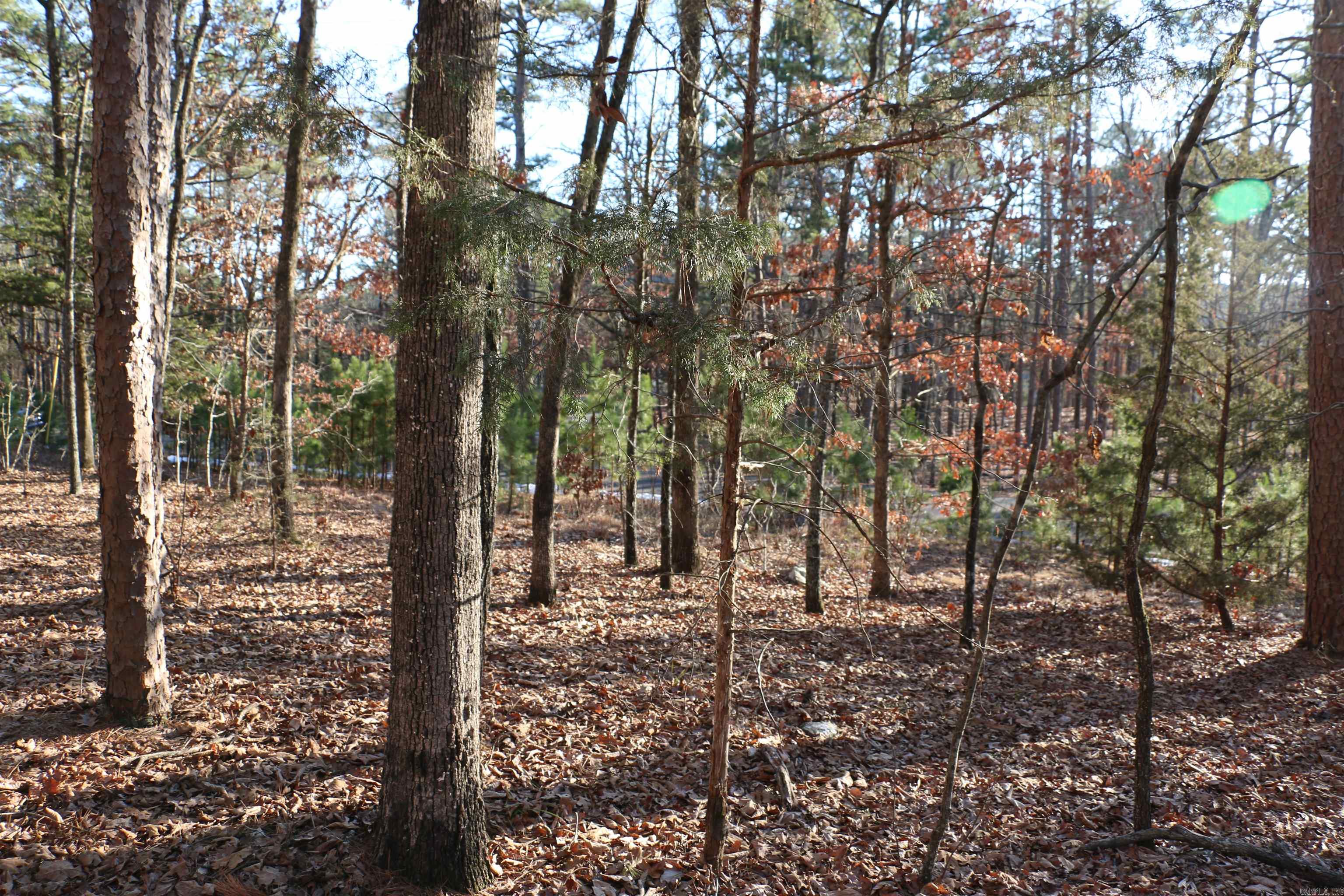 Lot 80 Lynn Creek Drive